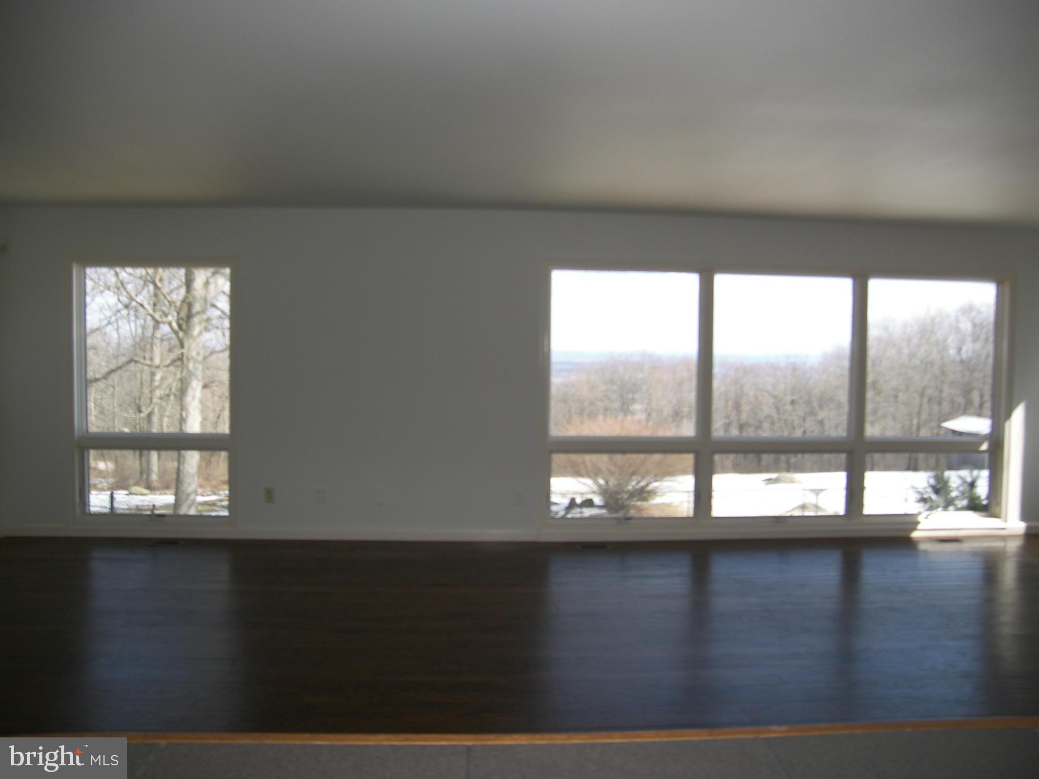18458 Blue Ridge Mountain Road Bluemont, VA 20135 - Photo 16 of 30 a view of an empty room with a window
