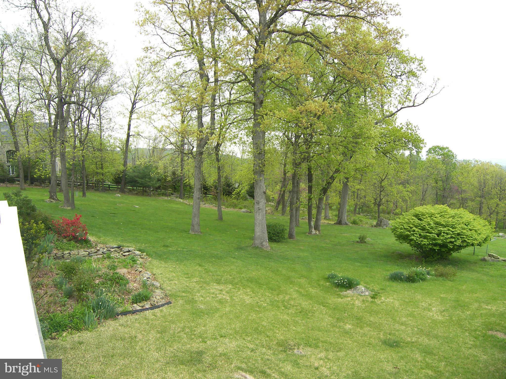 18458 Blue Ridge Mountain Road Bluemont, VA 20135 - Photo 24 of 30 a view of a park with large trees