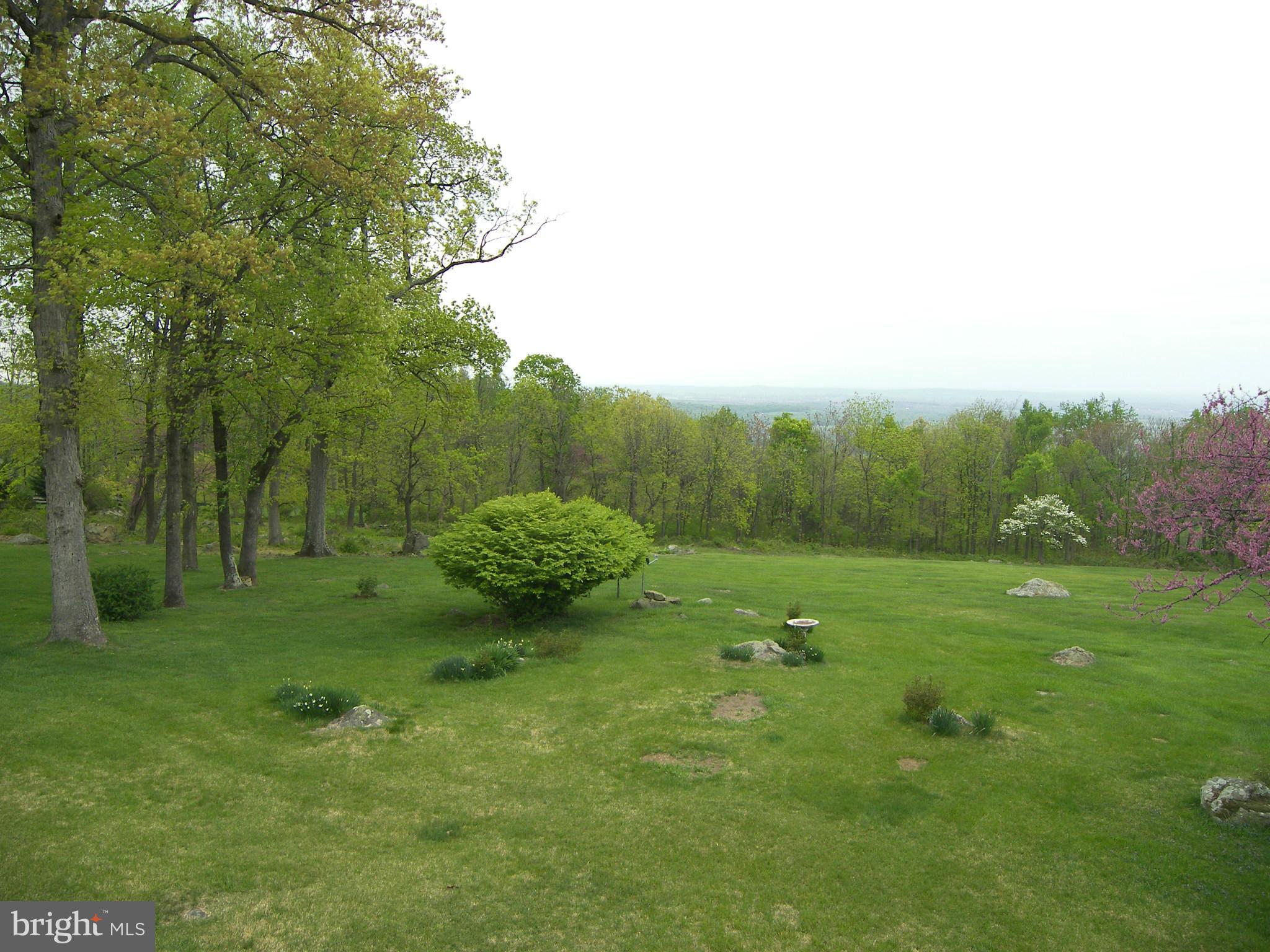18458 Blue Ridge Mountain Road Bluemont, VA 20135 - Photo 25 of 30 a view of an outdoor space and a yard