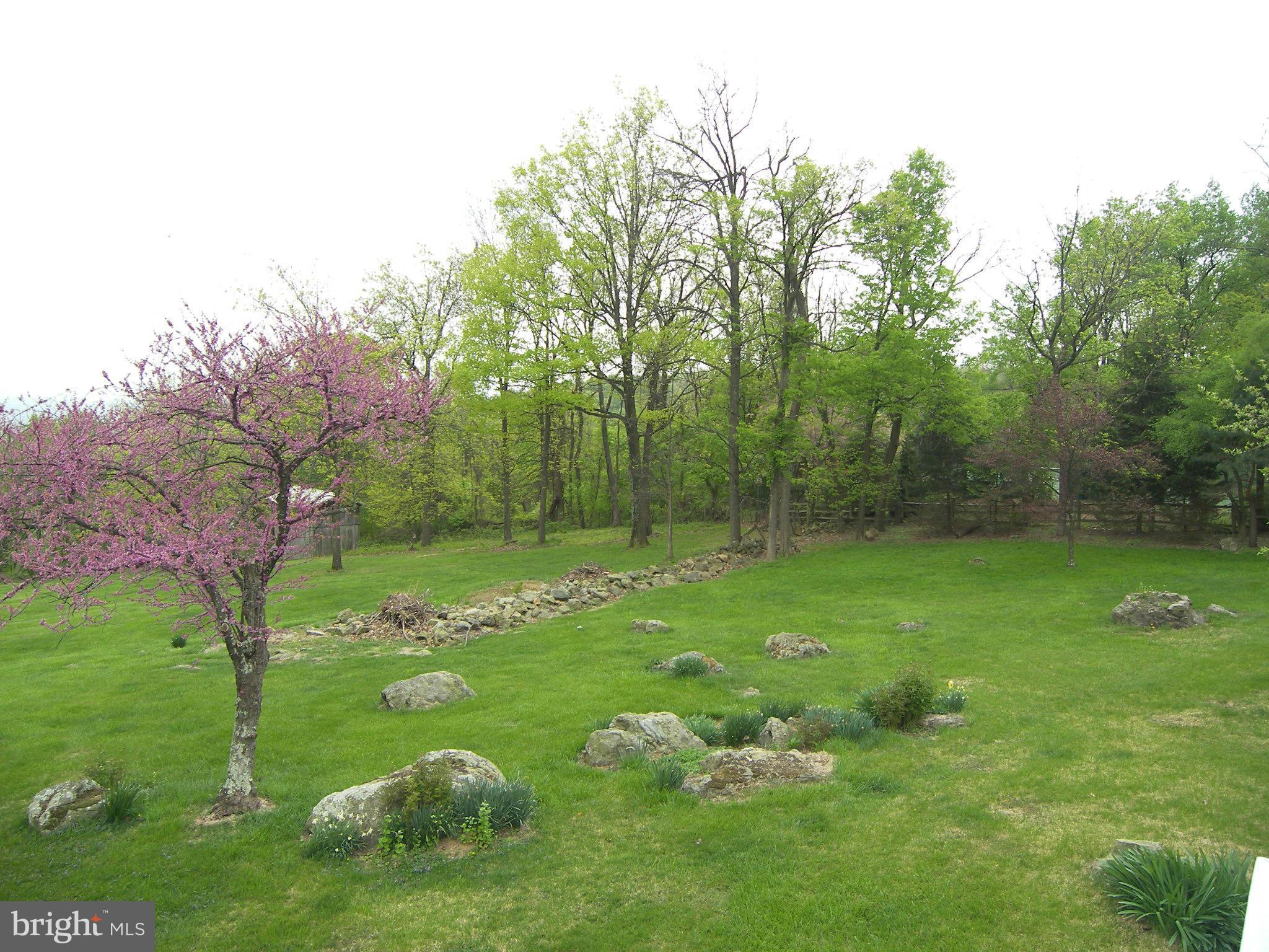 18458 Blue Ridge Mountain Road Bluemont, VA 20135 - Photo 26 of 30 a backyard of a house with lots of green space