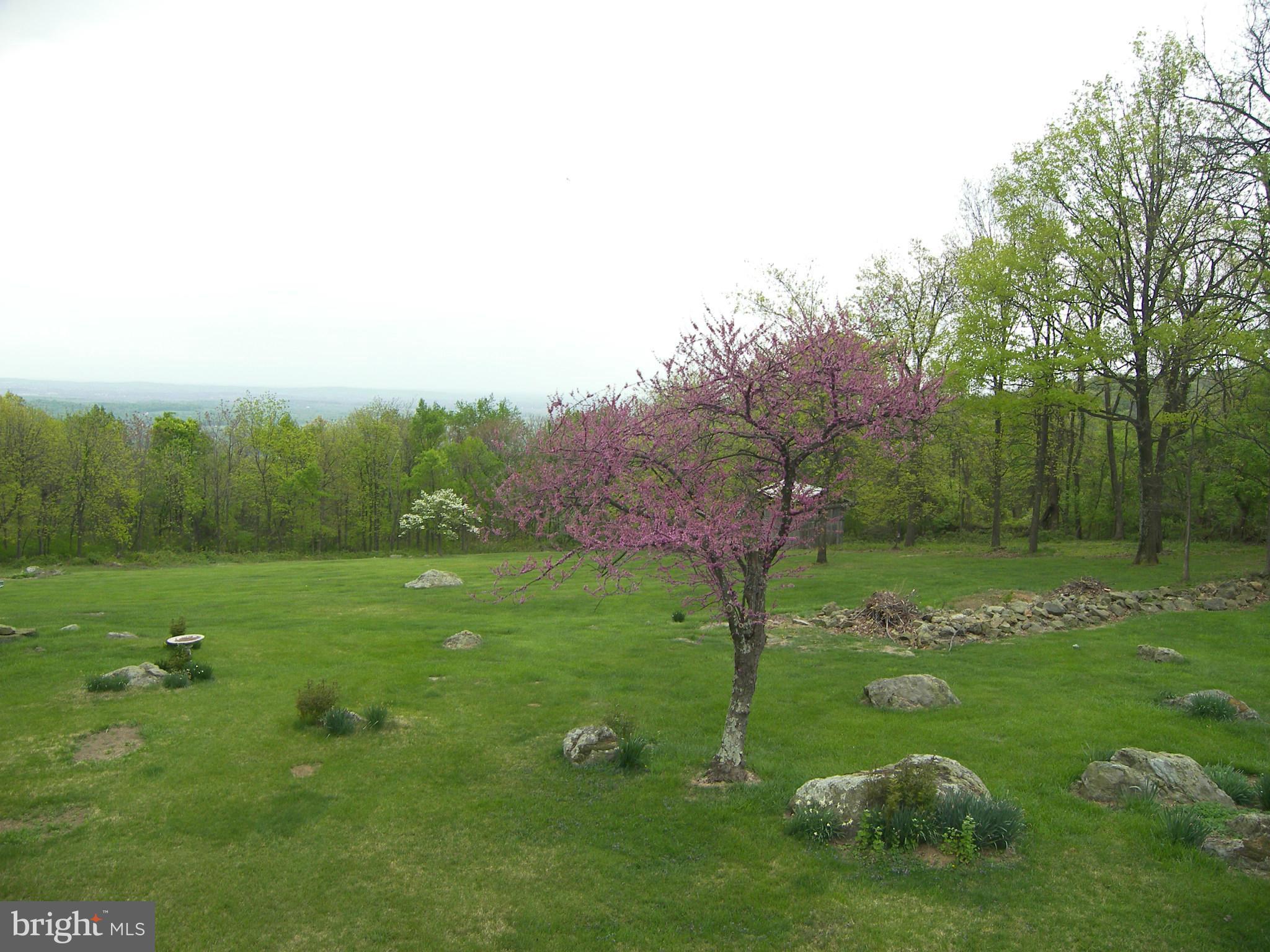 18458 Blue Ridge Mountain Road Bluemont, VA 20135 - Photo 27 of 30 a view of a field of grass and trees