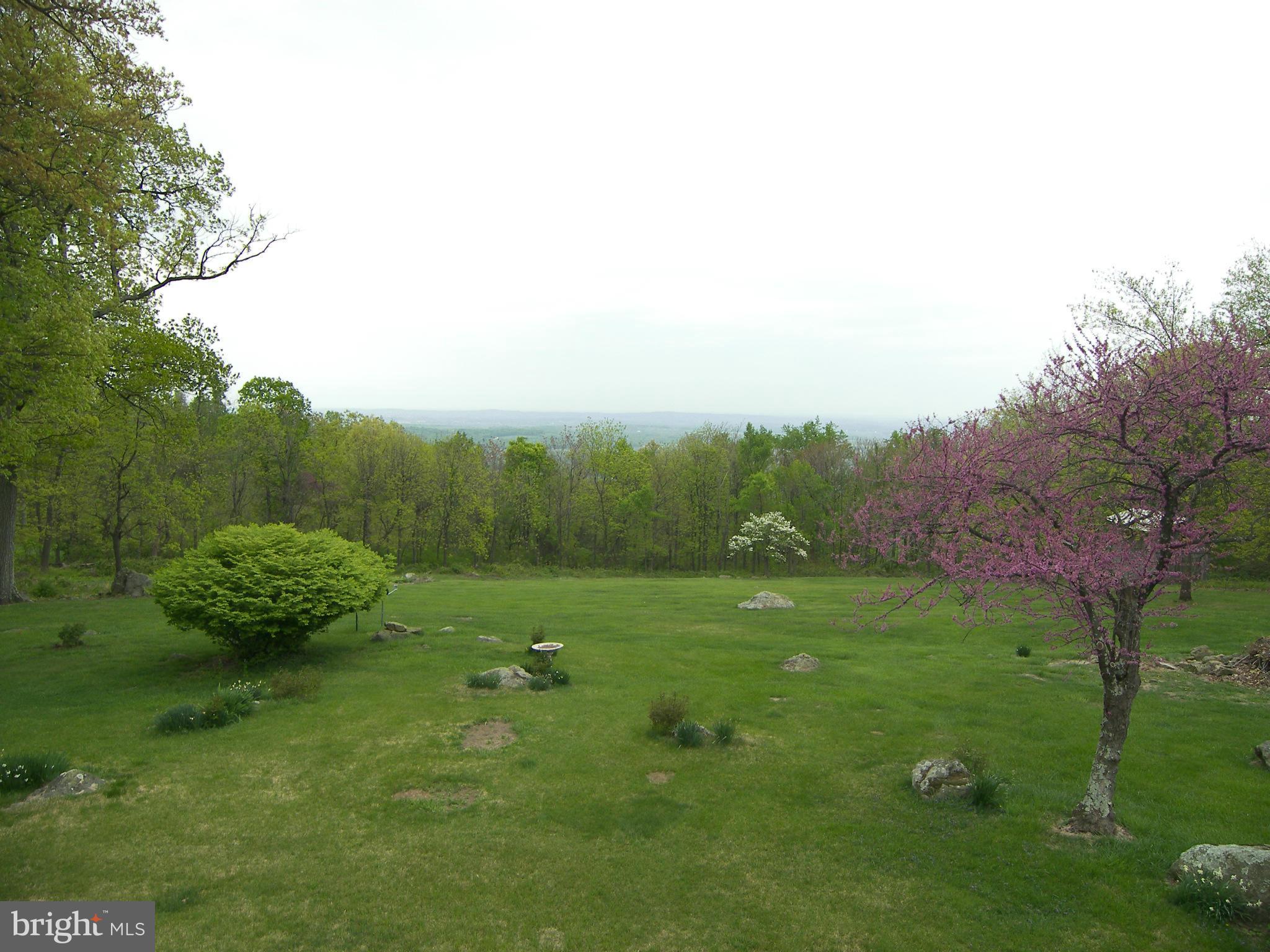18458 Blue Ridge Mountain Road Bluemont, VA 20135 - Photo 28 of 30 a view of an outdoor space and a yard