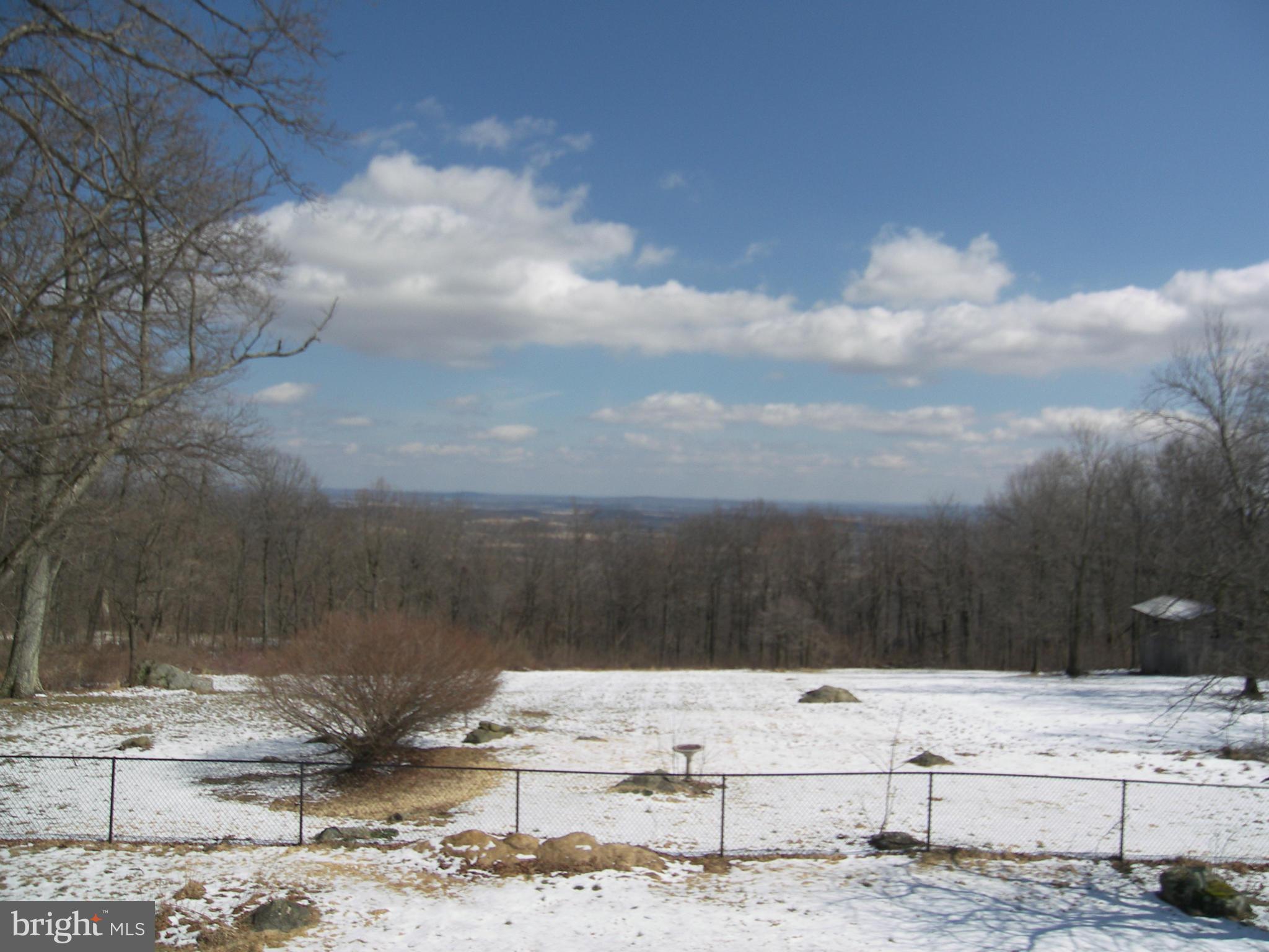 18458 Blue Ridge Mountain Road Bluemont, VA 20135 - Photo 30 of 30 a view of a yard