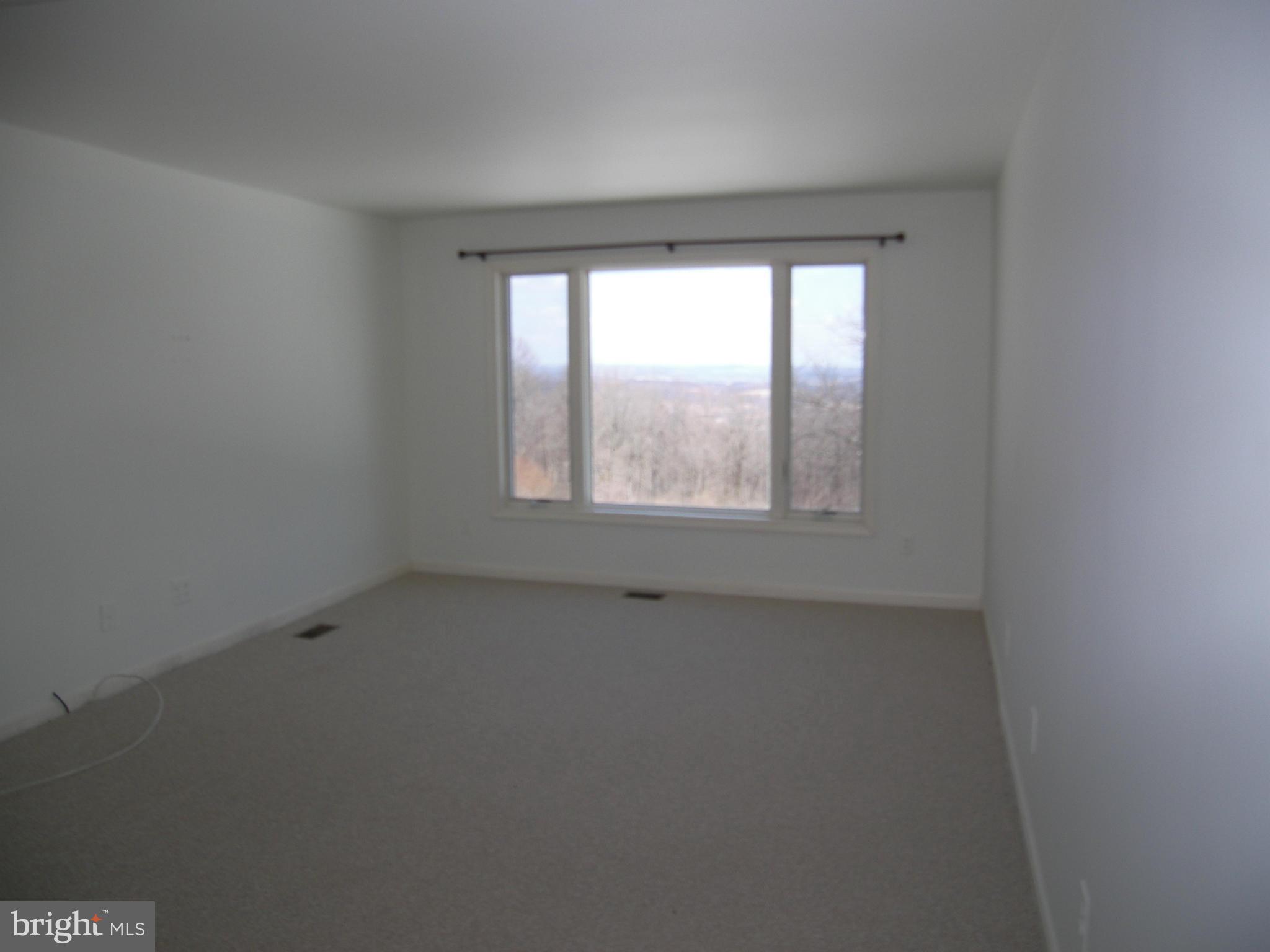 18458 Blue Ridge Mountain Road Bluemont, VA 20135 - Photo 7 of 30 an empty room with a window