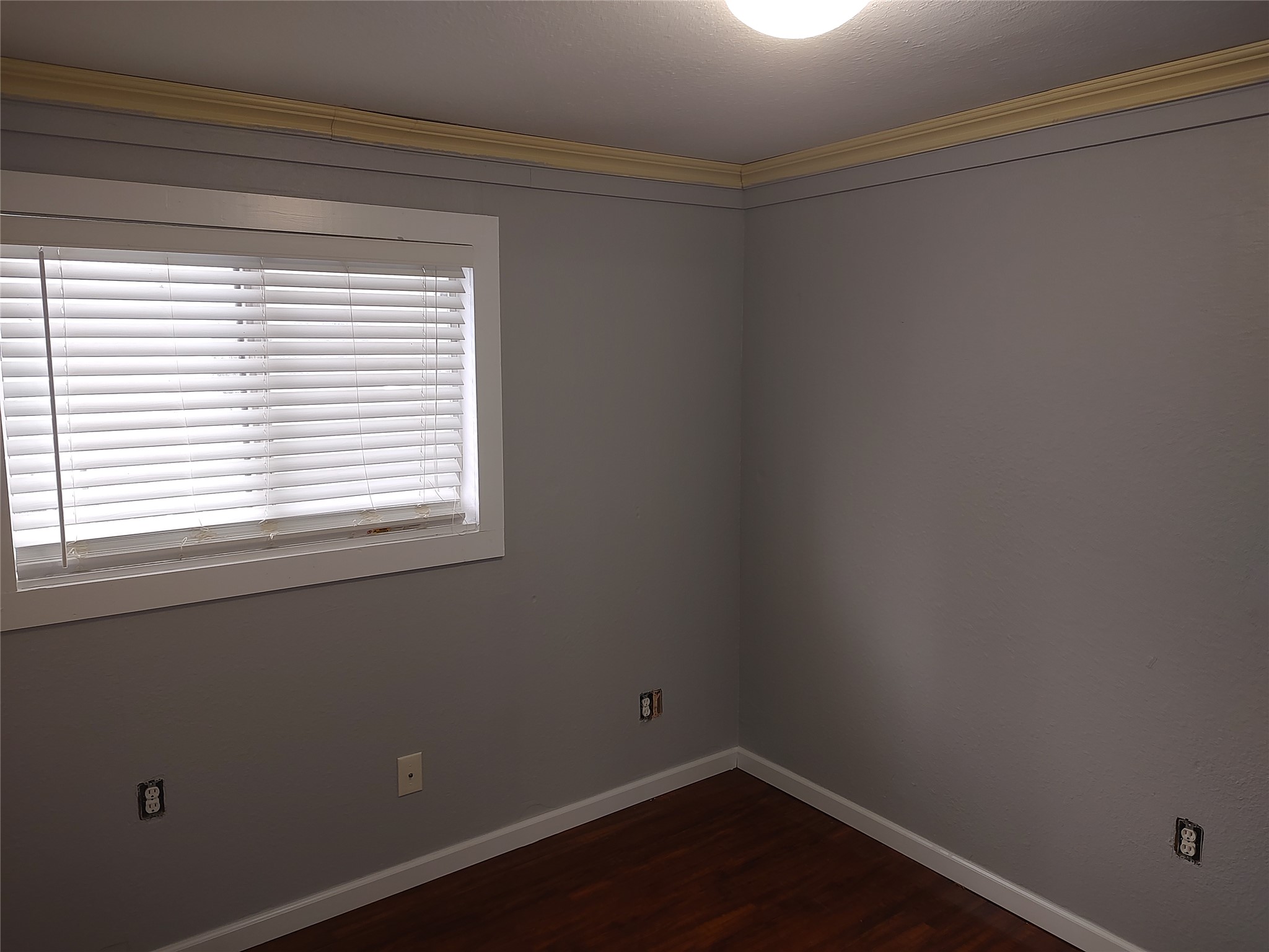 2617 Wheless Lane Austin, TX 78723 - Photo 6 of 14 Spare room featuring dark wood-type flooring and crown molding