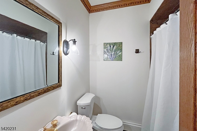 1 Hillview Drive Califon, NJ 07830 - Photo 24 of 49