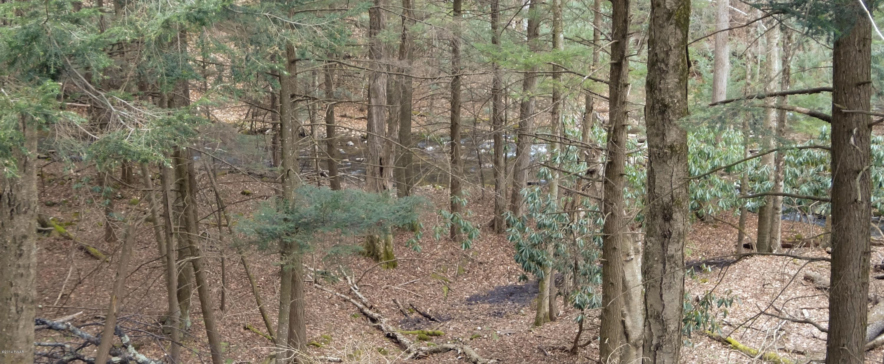 346 Lake Road Lake Ariel, PA 18436 - Photo 26 of 30 Gallery Image 26