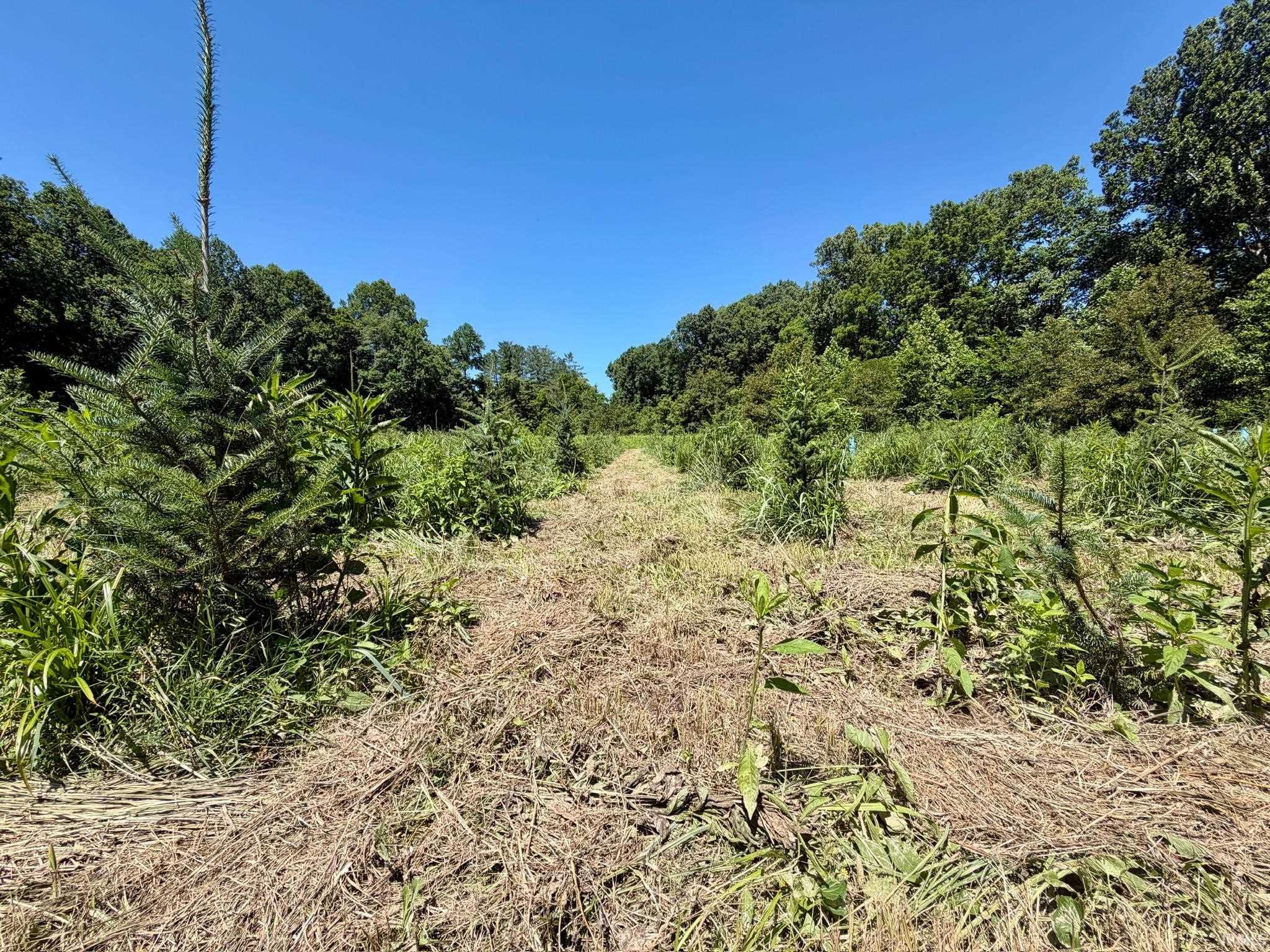 Tbd Newark Road Solsberry, IN 47459 - Photo 11 of 28