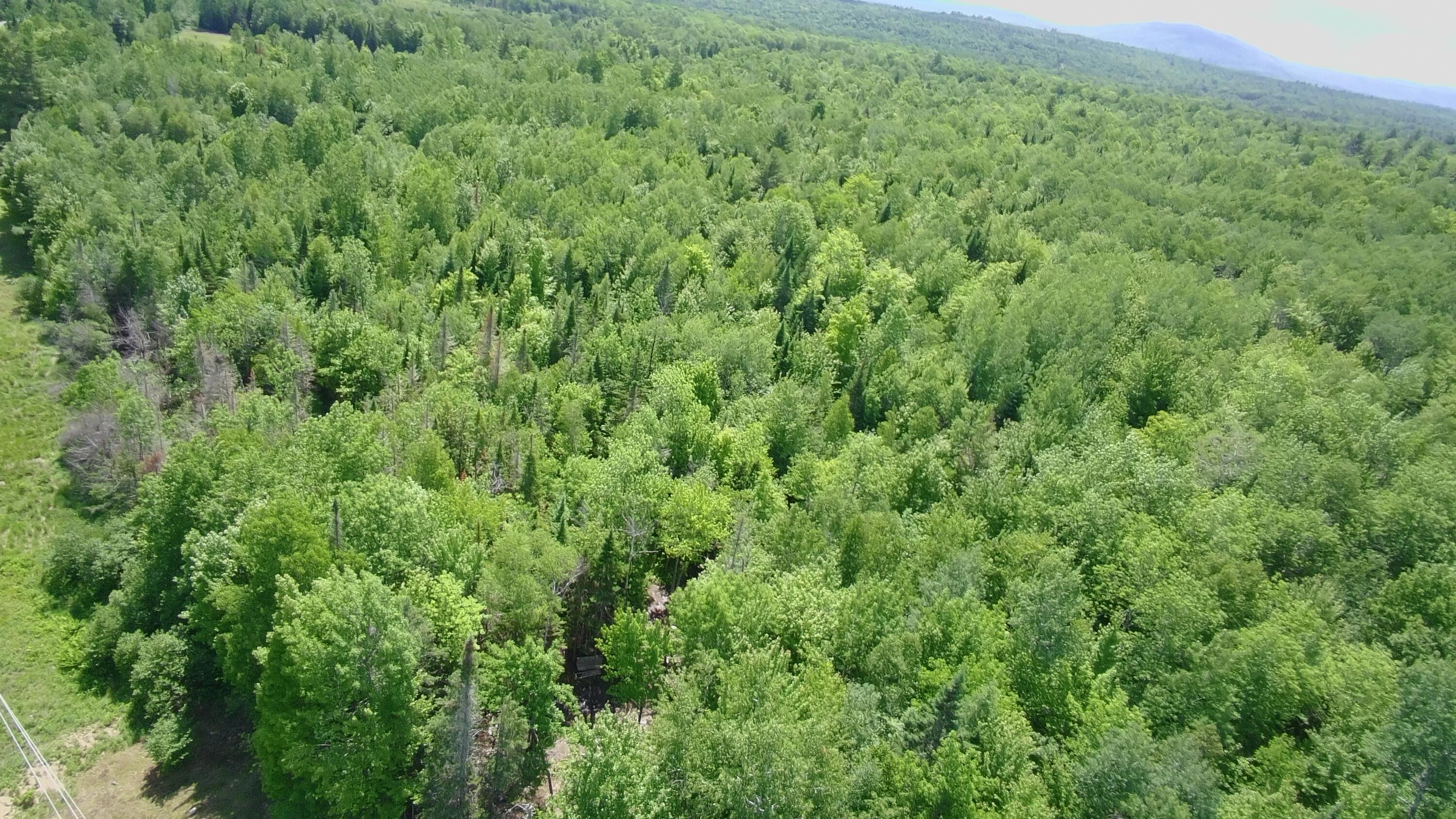 Lot 12-001 Off North Guilford Road Monson, ME 04464 - Photo 46 of 48