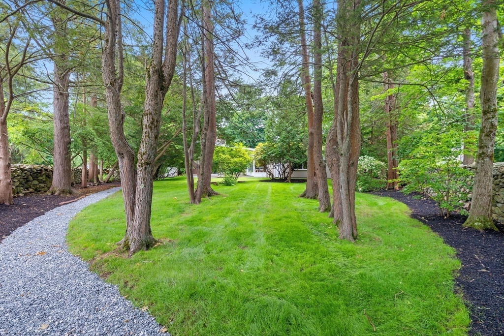 6 Porter Road Andover, MA 01810 - Photo 37 of 42