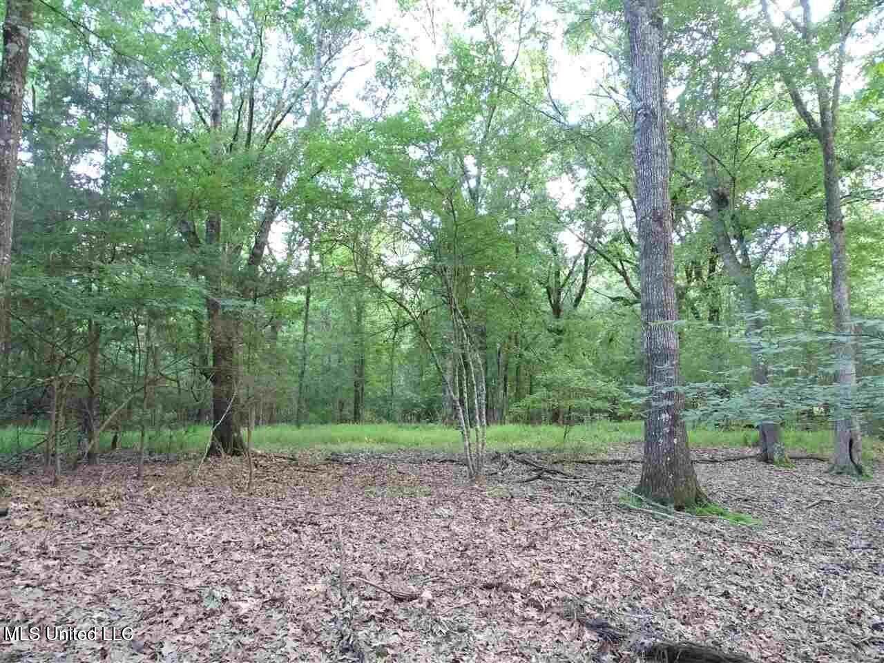 St Augustine Drive Madison, MS 39110 - Photo 12 of 16 20231110174544658255000000-o
