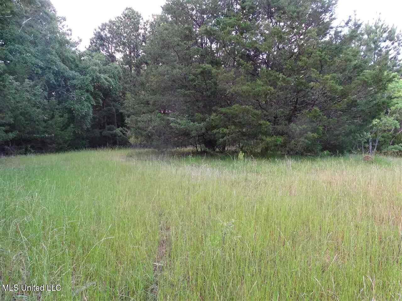 St Augustine Drive Madison, MS 39110 - Photo 14 of 16 20231110174547545779000000-o