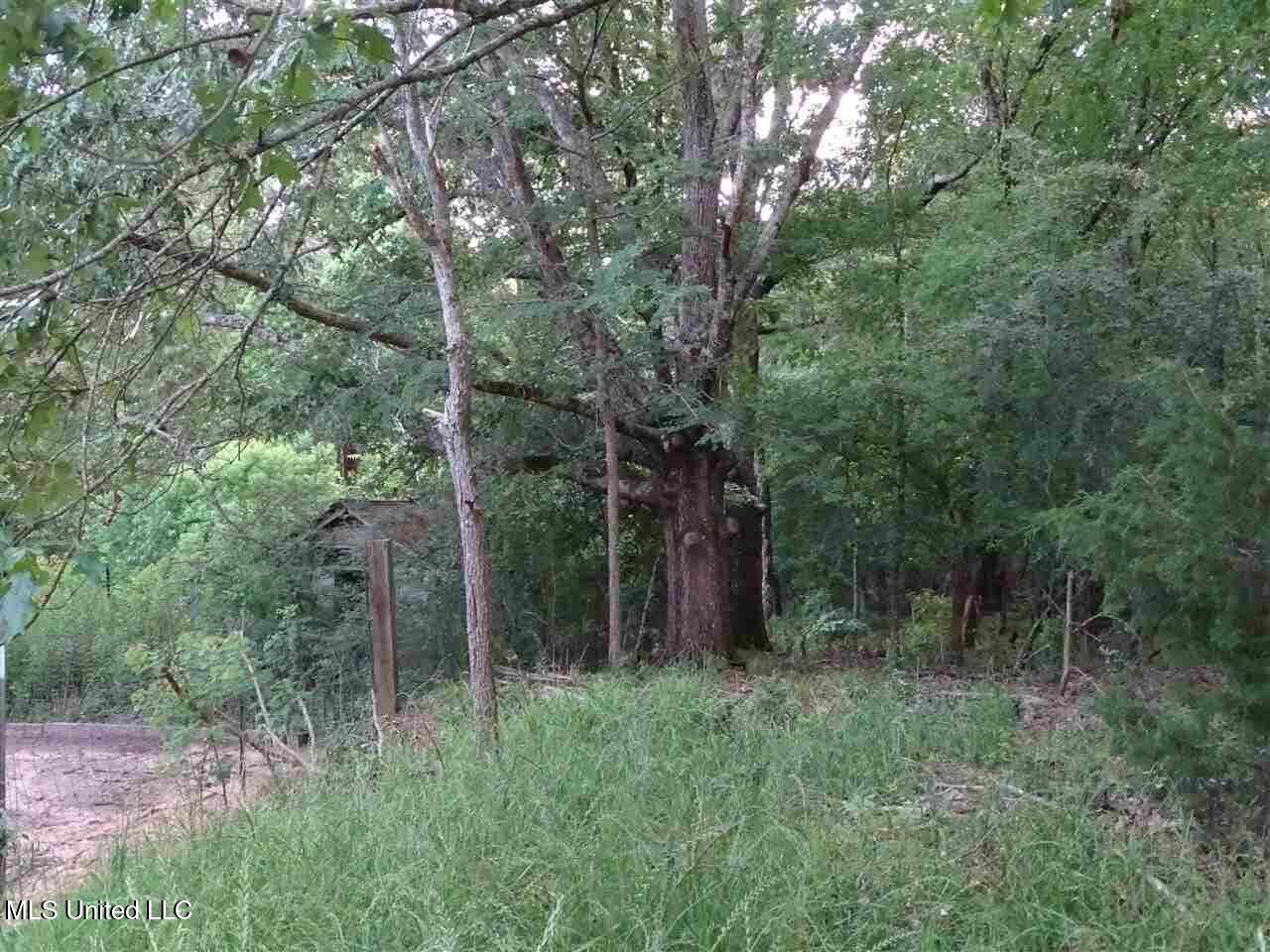 St Augustine Drive Madison, MS 39110 - Photo 16 of 16 20231110174550069698000000-o
