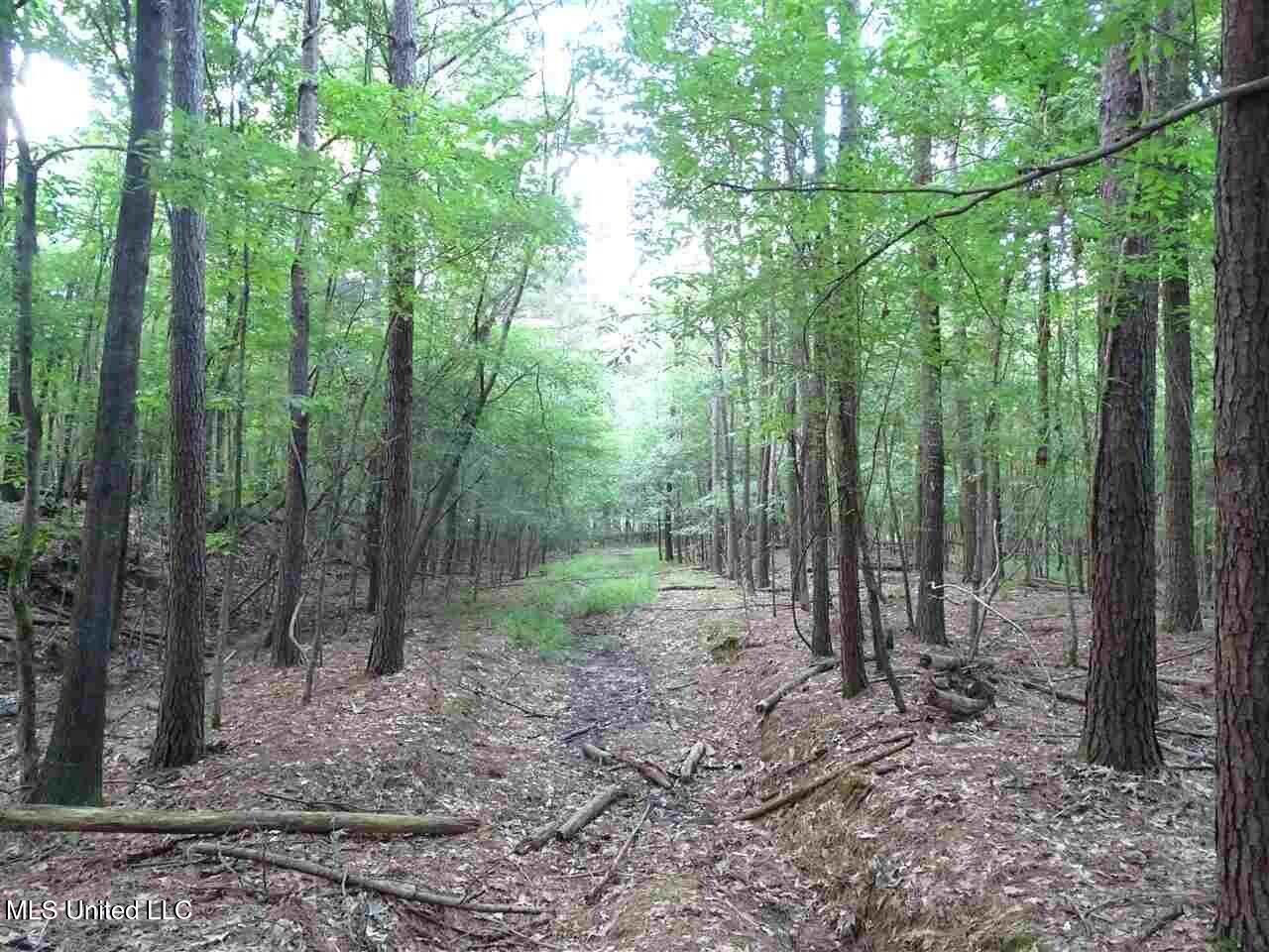 St Augustine Drive Madison, MS 39110 - Photo 10 of 16 20231110174541289602000000-o