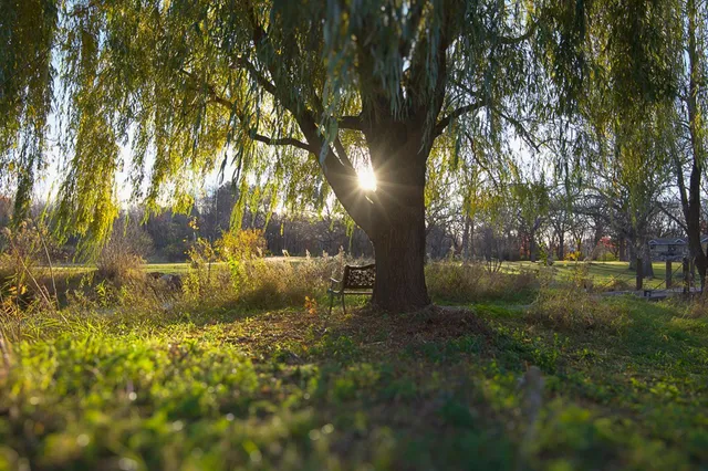 $579,900 | 11486 Hazel Road, St. Cloud, MN 56301