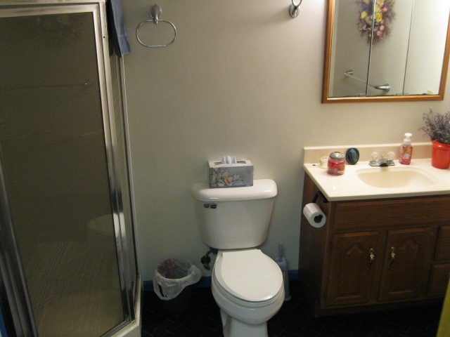 233 Chandler Street Romeo, MI 48065 - Photo 63 of 68 31345755-63.JPG