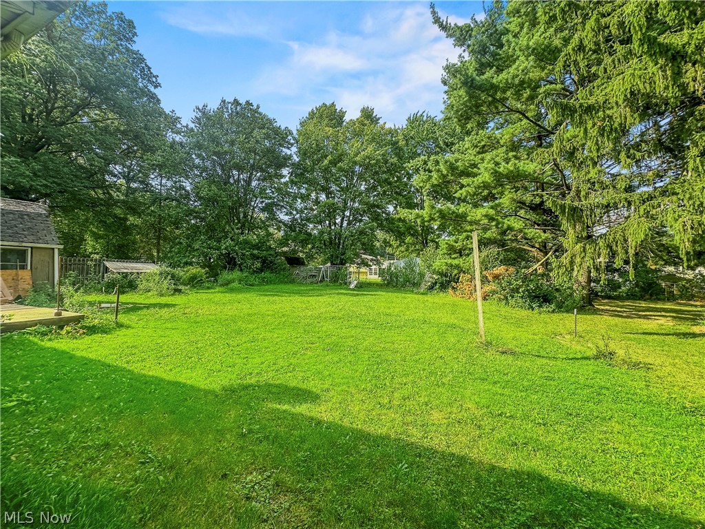 4520 New Road Austintown, OH 44515 - Photo 5 of 17 Gallery Image 5
