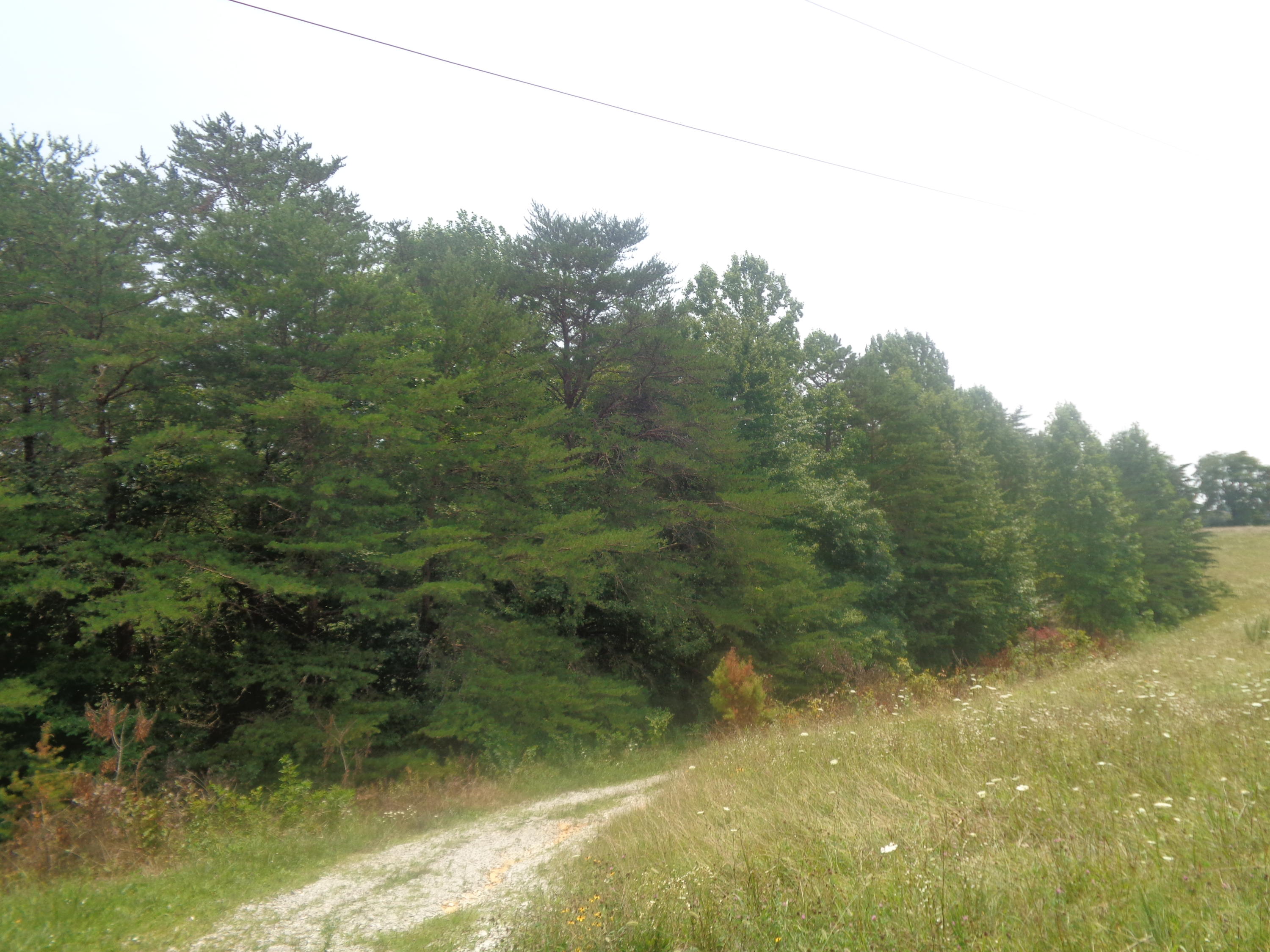 1468 County Farm Road London, KY 40741 - Photo 12 of 26 DSC05464