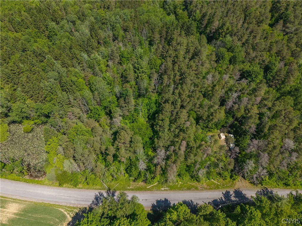 8804 Becker Road Springwater, NY 14572 - Photo 4 of 34