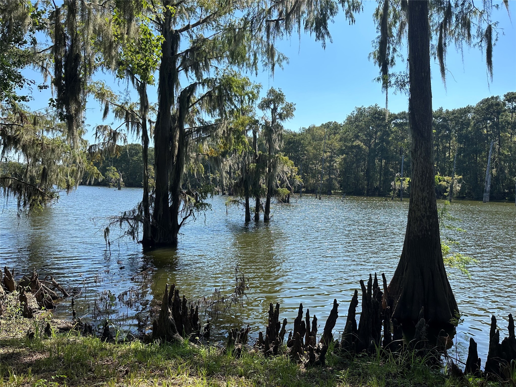 454 Lakeview Drive Cleveland, TX 77327 - Photo 15 of 15