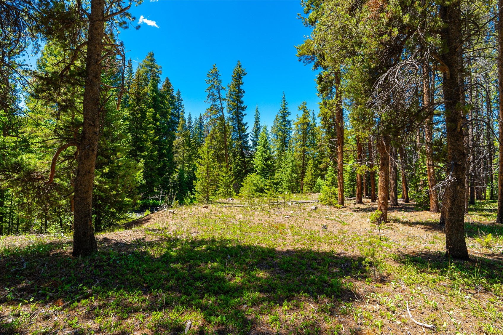 277 Wagon Road Breckenridge, CO 80424 - Photo 43 of 50