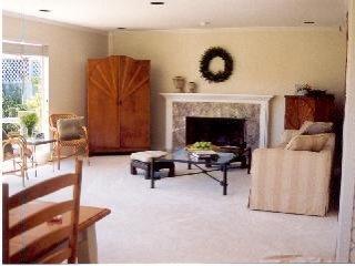 12 Chestnut Avenue San Rafael, CA 94901 - Photo 2 of 7 a living room with furniture and a fireplace