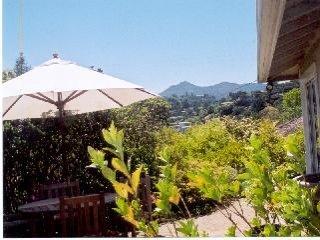 12 Chestnut Avenue San Rafael, CA 94901 - Photo 6 of 7