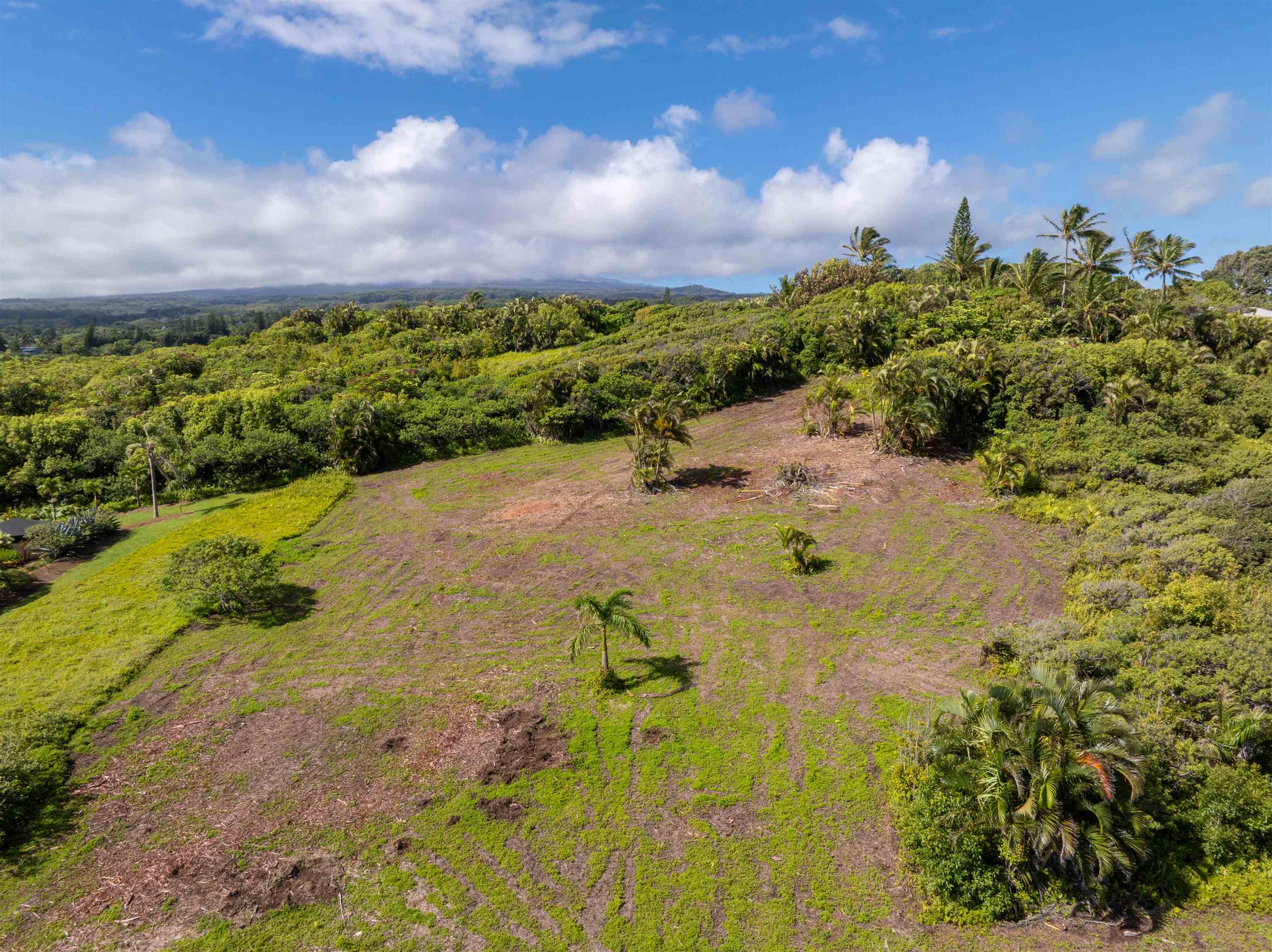 601 North Honokala Road, Unit A Haiku, HI 96708 - Photo 17 of 26