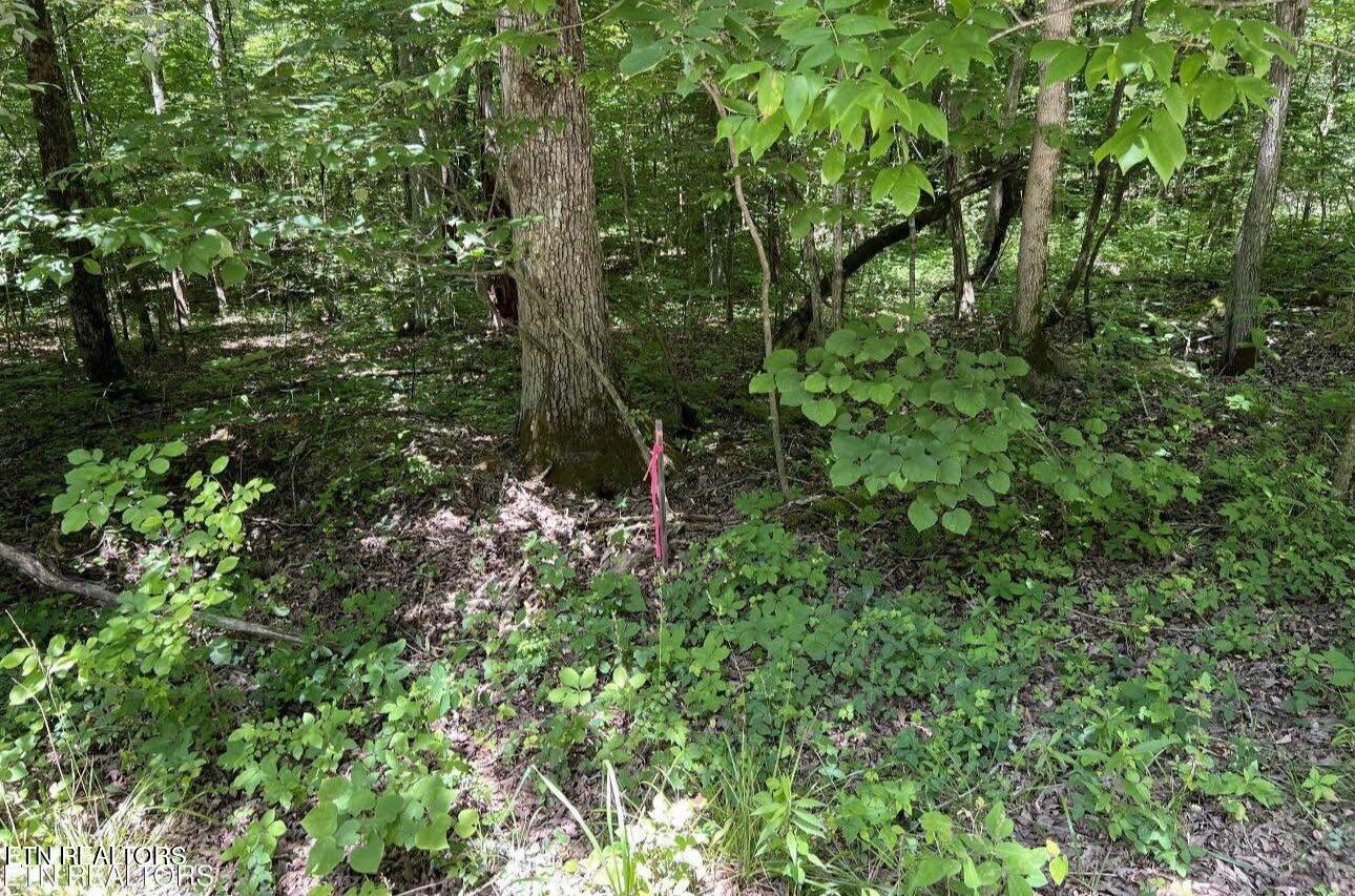 158 Eagle Ridge Road Kingston, TN 37763 - Photo 3 of 6 Image 04