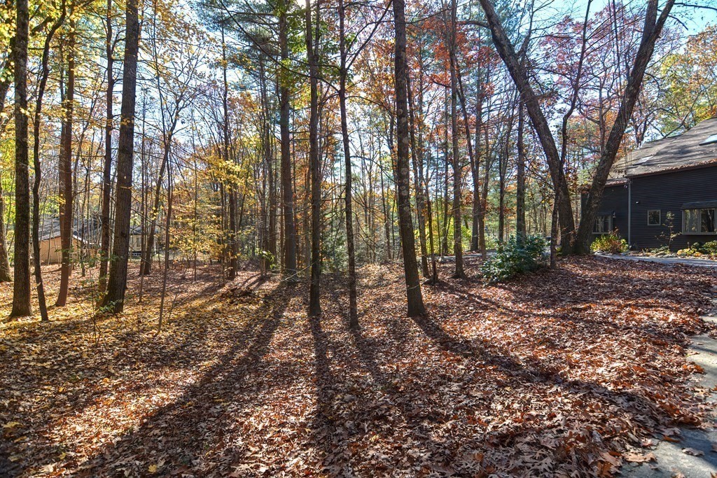 88 Townsend Road, Unit A Shirley, MA 01464 - Photo 2 of 35 a view of outdoor space with lots of trees