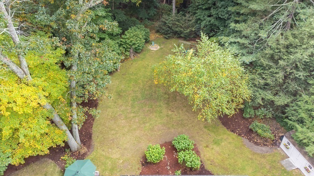 12 Rice Spring Lane Wayland, MA 01778 - Photo 31 of 37 a view of a garden