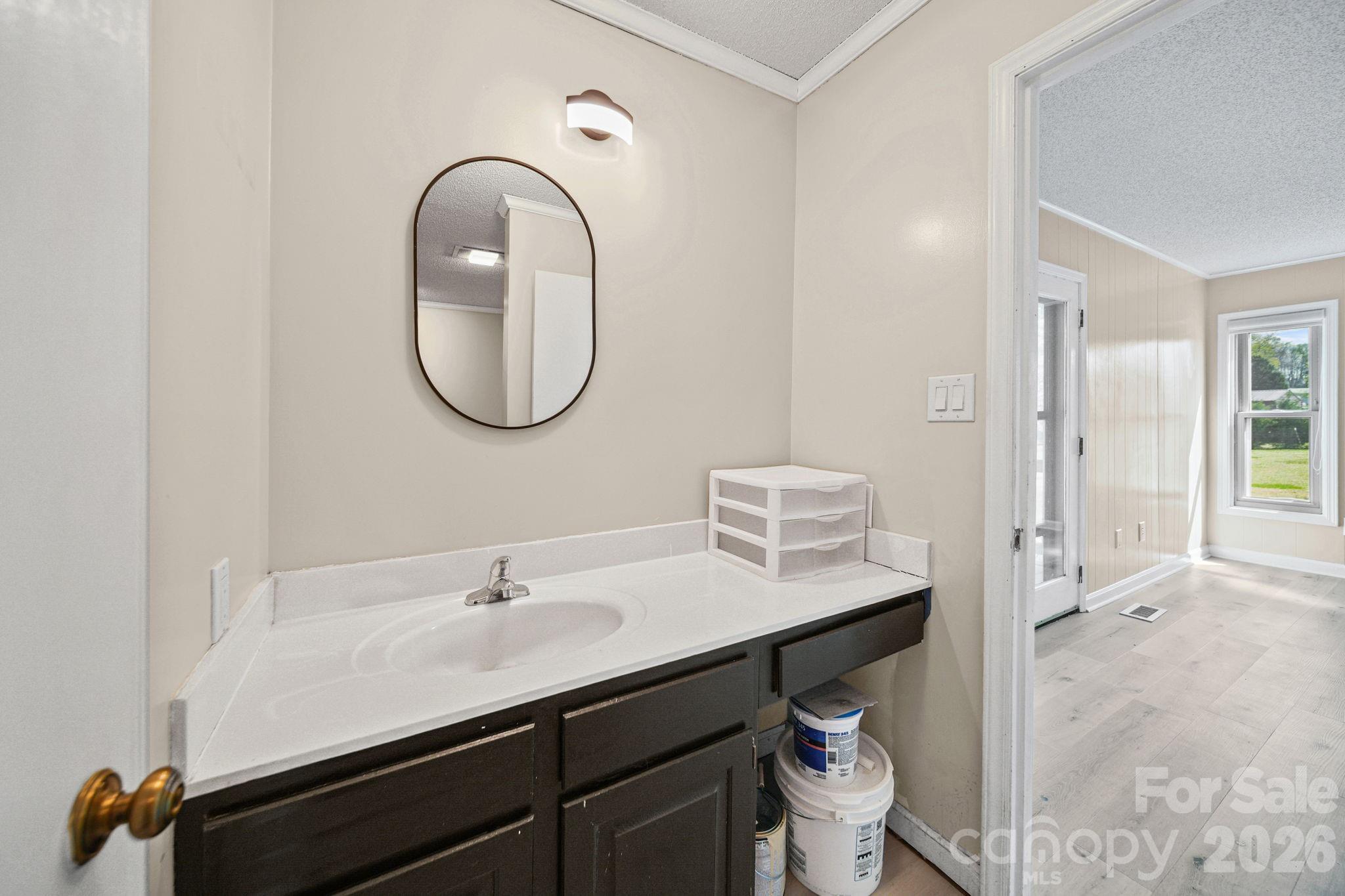 235 Spring Estates Circle Salisbury, NC 28146 - Photo 33 of 47 a en suite bathroom with a sink and a mirror