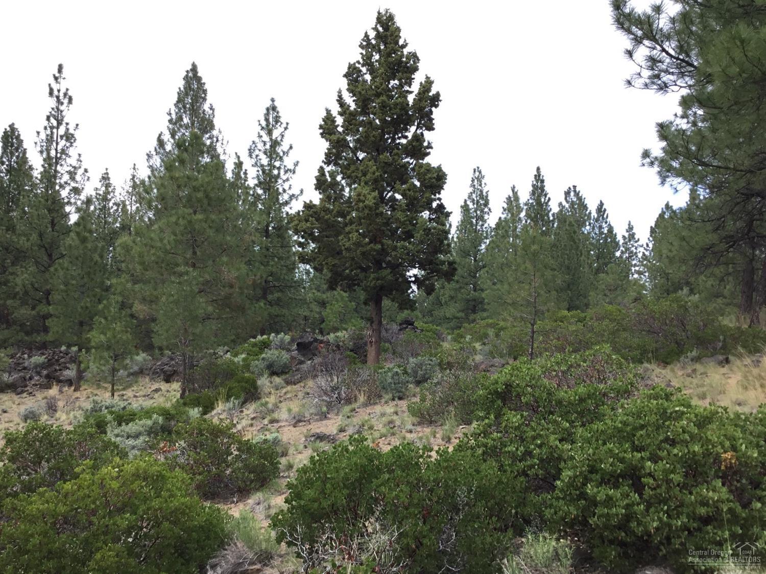 60170 East Ridgeview Drive Bend, OR 97702 - Photo 16 of 16 Additional Photo
