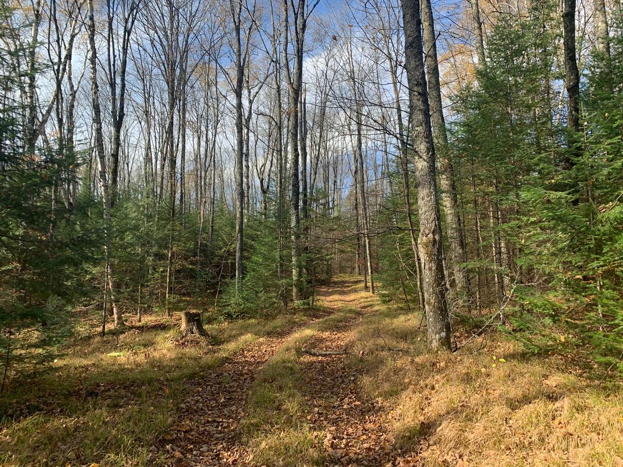 6108 North Spg Lk Road Mercer, WI 54547 - Photo 26 of 99 Gallery Image 26