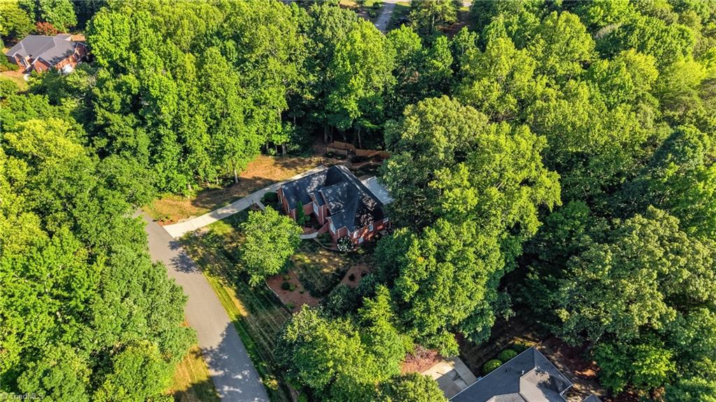 5305 Ridge Trail Road Summerfield, NC 27358 - Photo 45 of 49