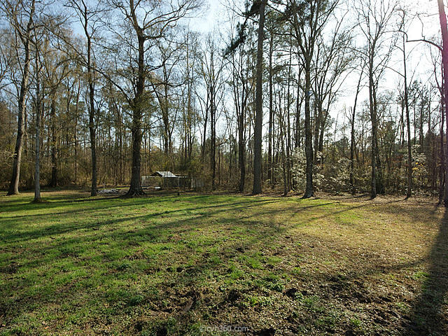 449 Carter Road Ridgeville, SC 29472 - Photo 28 of 31 Backyard