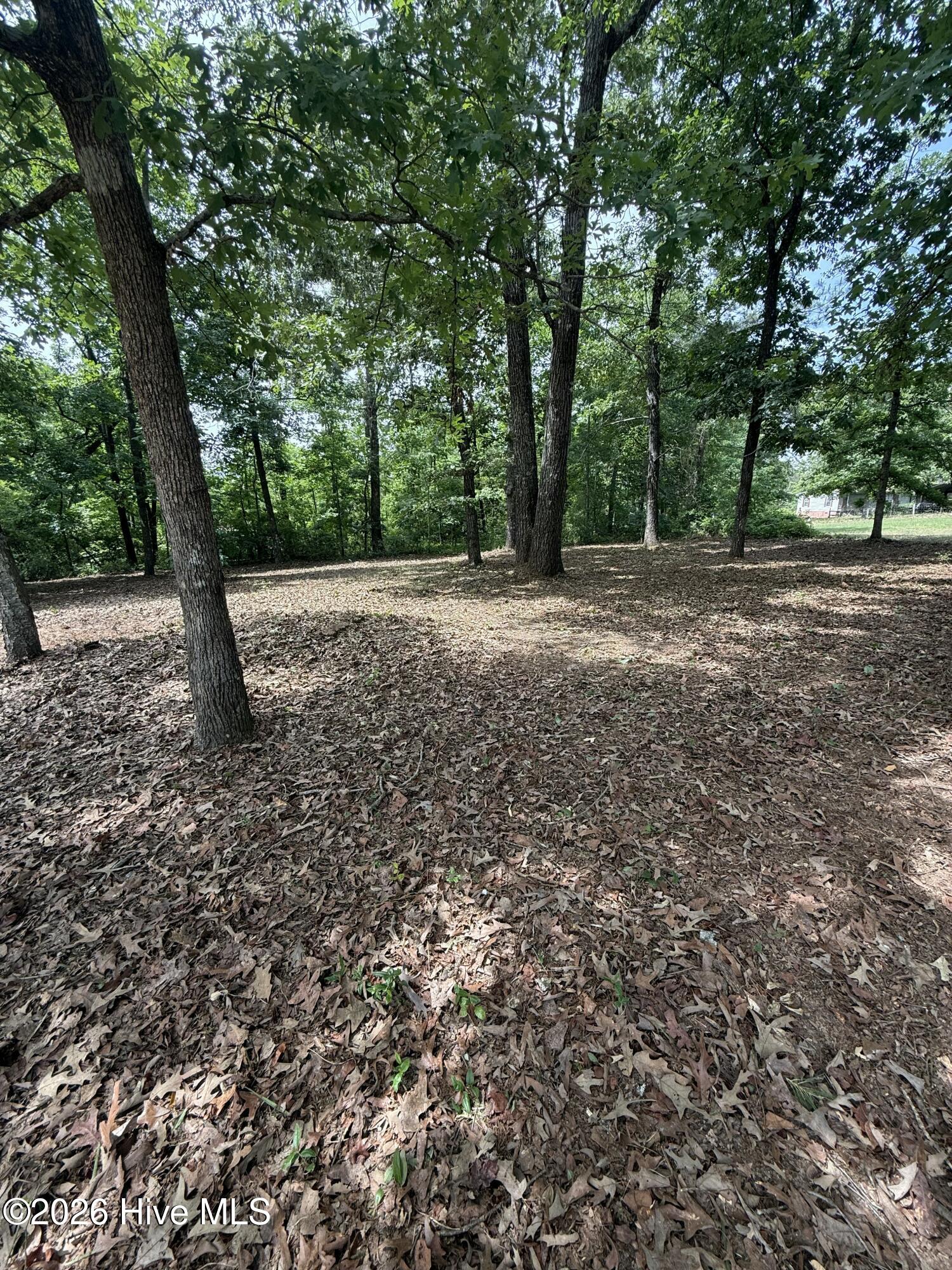 3641 Hillman Gay Road Dearing, GA 30808 - Photo 15 of 15 Yard 4