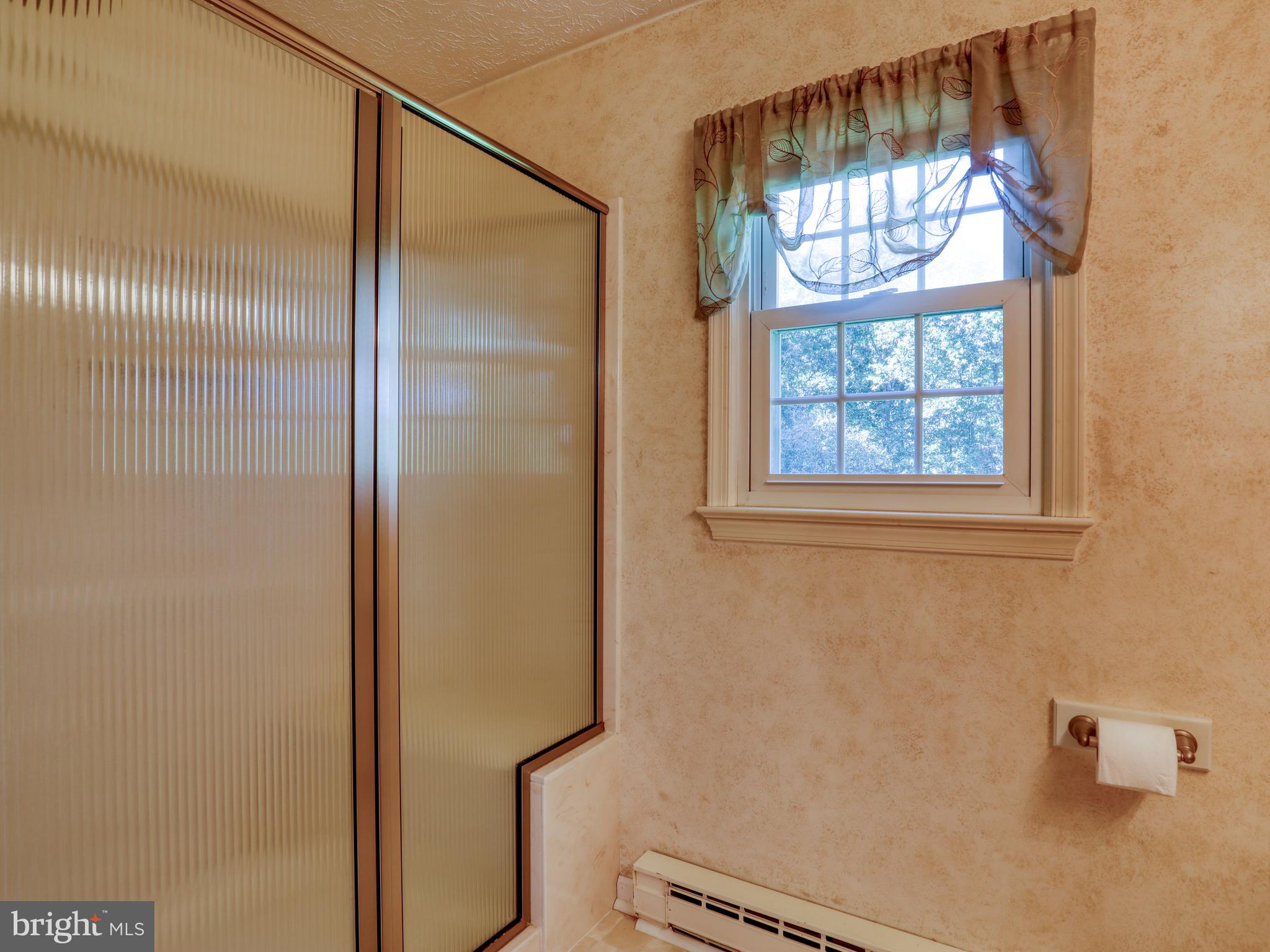 104 Forest Ridge Road Winchester, VA 22602 - Photo 22 of 46 2nd Bathroom with shower