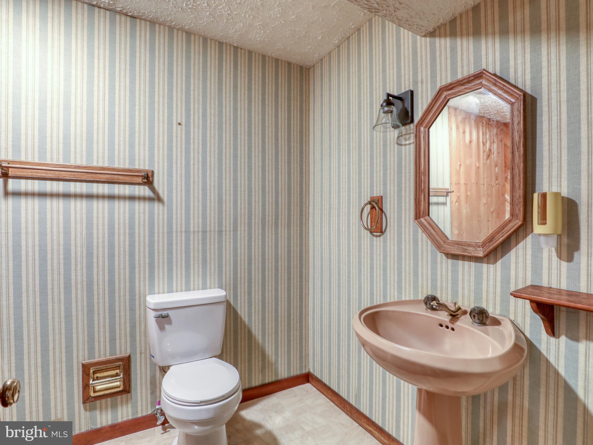 104 Forest Ridge Road Winchester, VA 22602 - Photo 26 of 46 3rd Bathroom in Basement