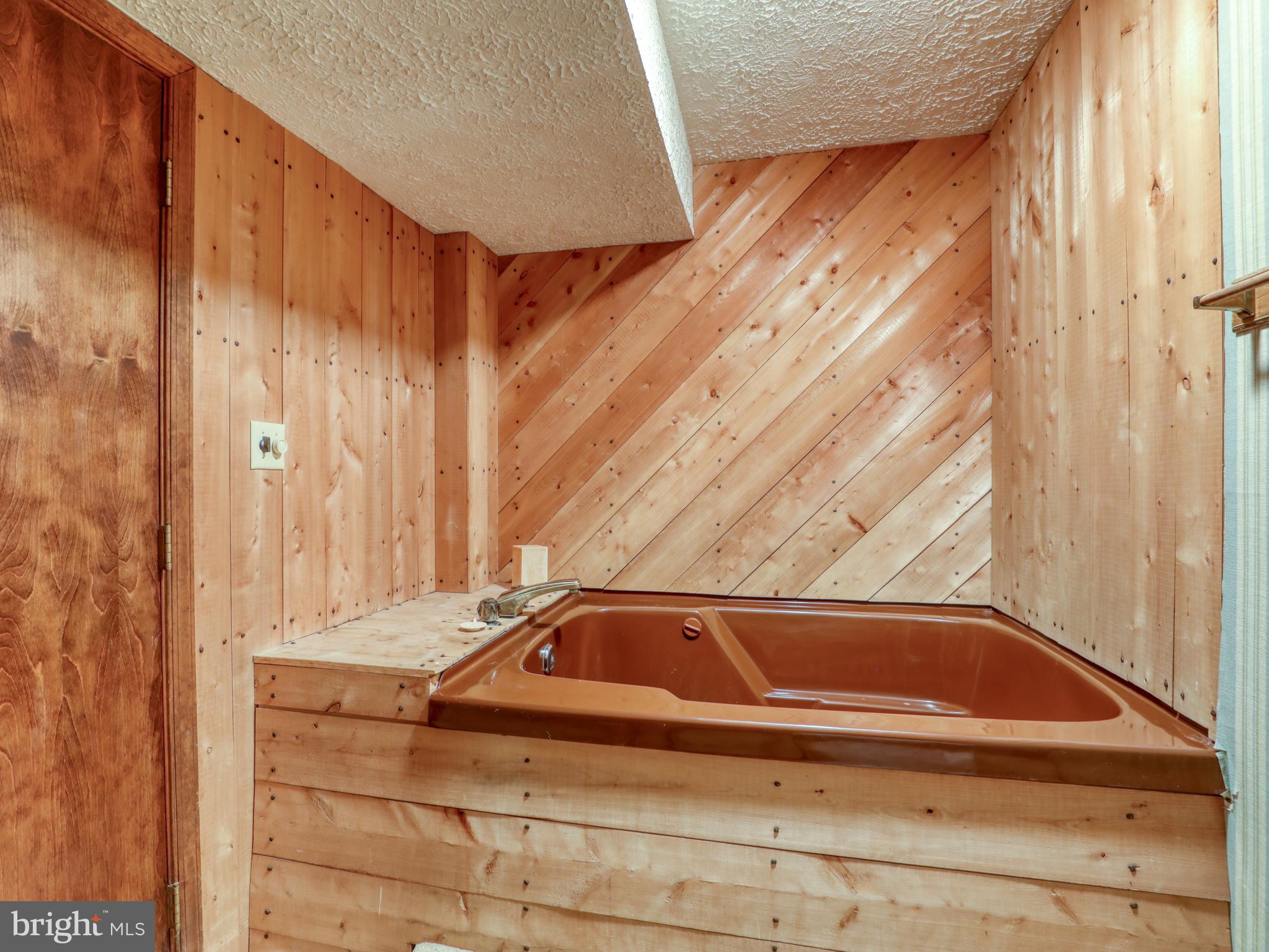 104 Forest Ridge Road Winchester, VA 22602 - Photo 27 of 46 Whirlpool tub in Basement Bath