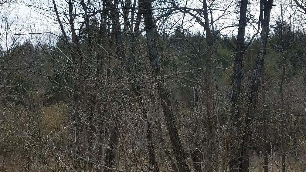 20180309_130741_resized