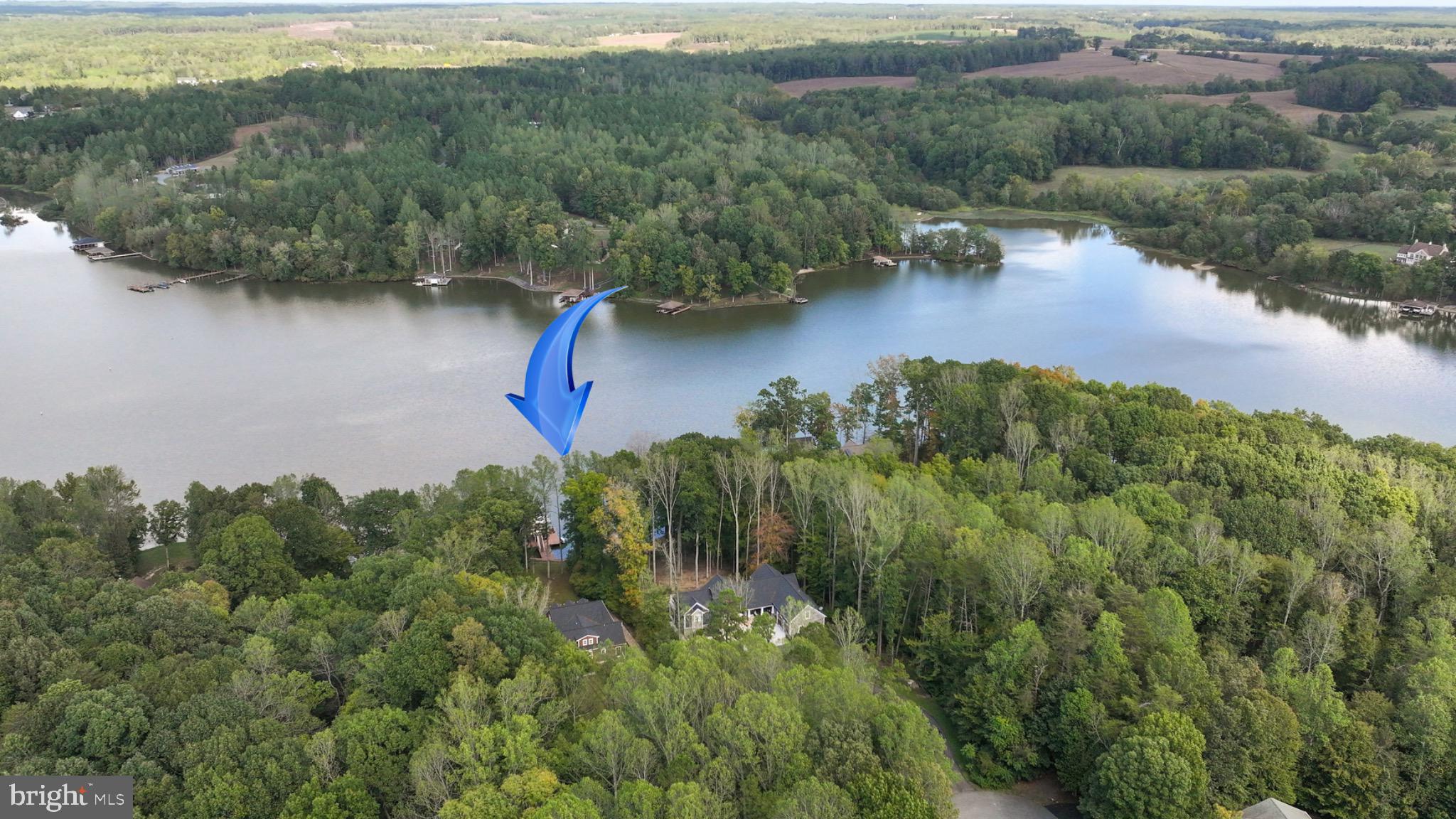 7320 Old Dickersons Road Orange, VA 22960 - Photo 109 of 119 Serene lakeside retreat amidst lush greenery.