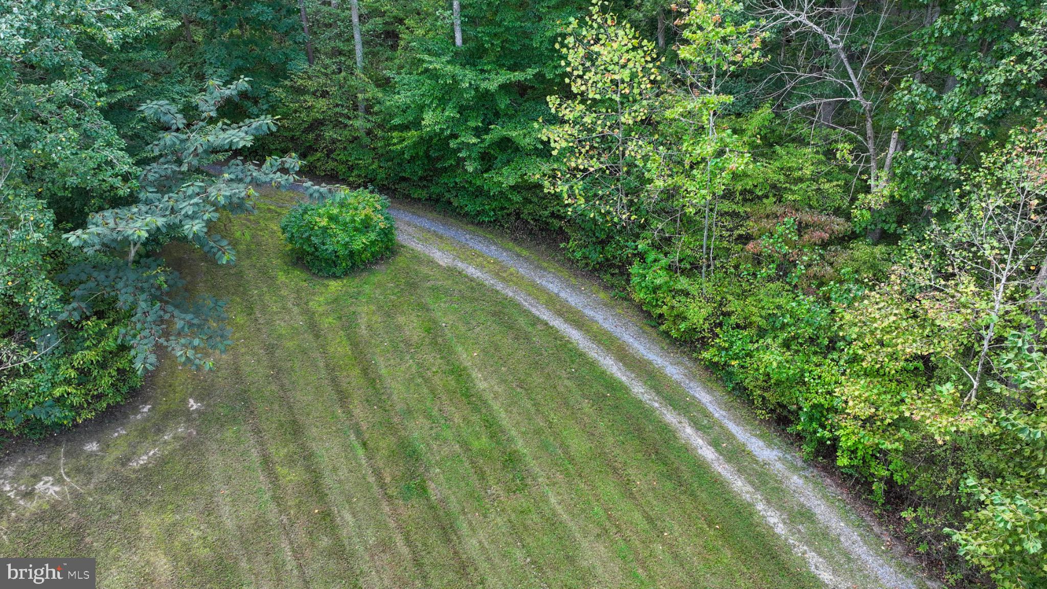 7320 Old Dickersons Road Orange, VA 22960 - Photo 116 of 119 Driveway