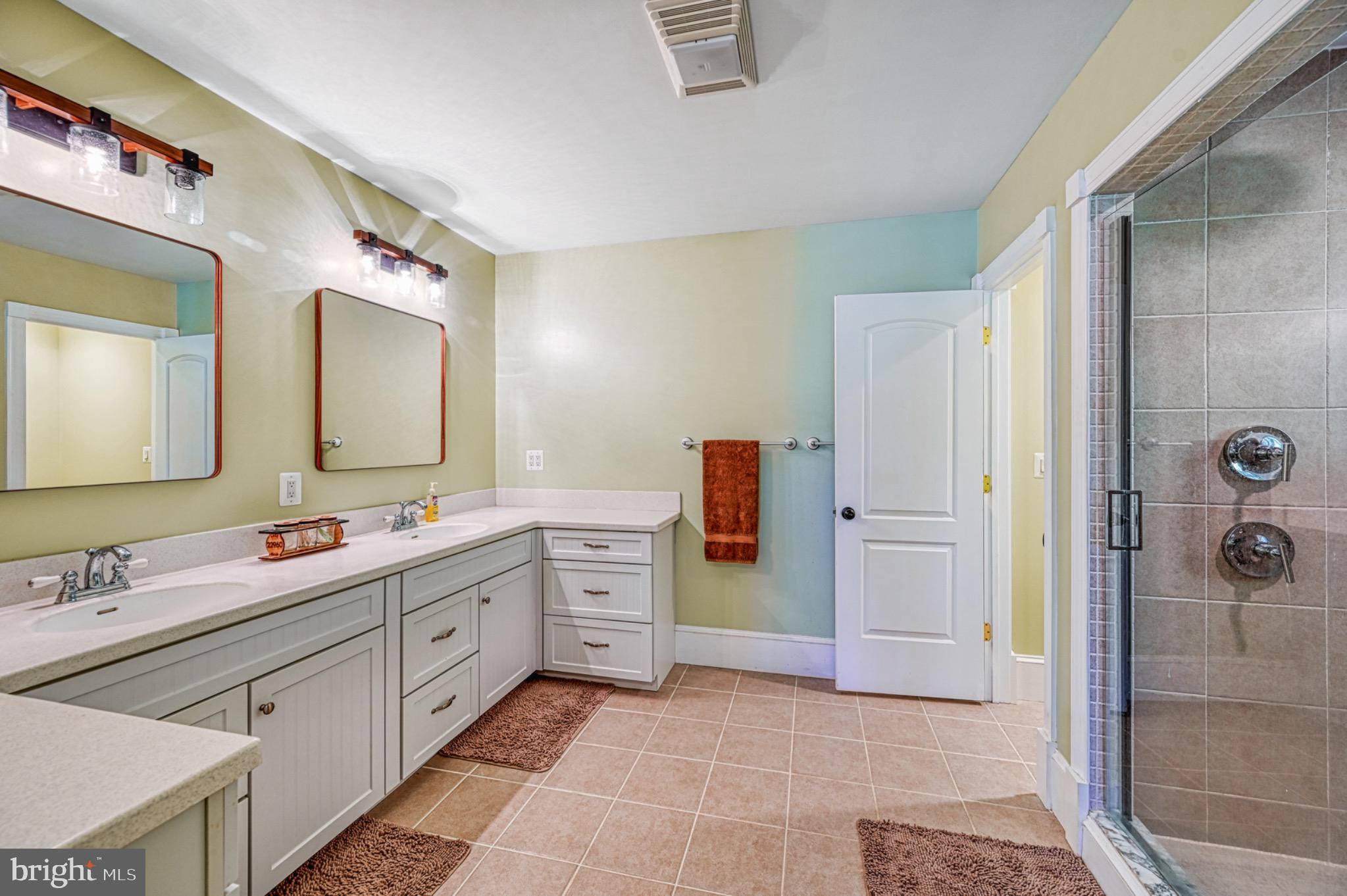7320 Old Dickersons Road Orange, VA 22960 - Photo 39 of 119 a bathroom with a double vanity sink mirror and shower