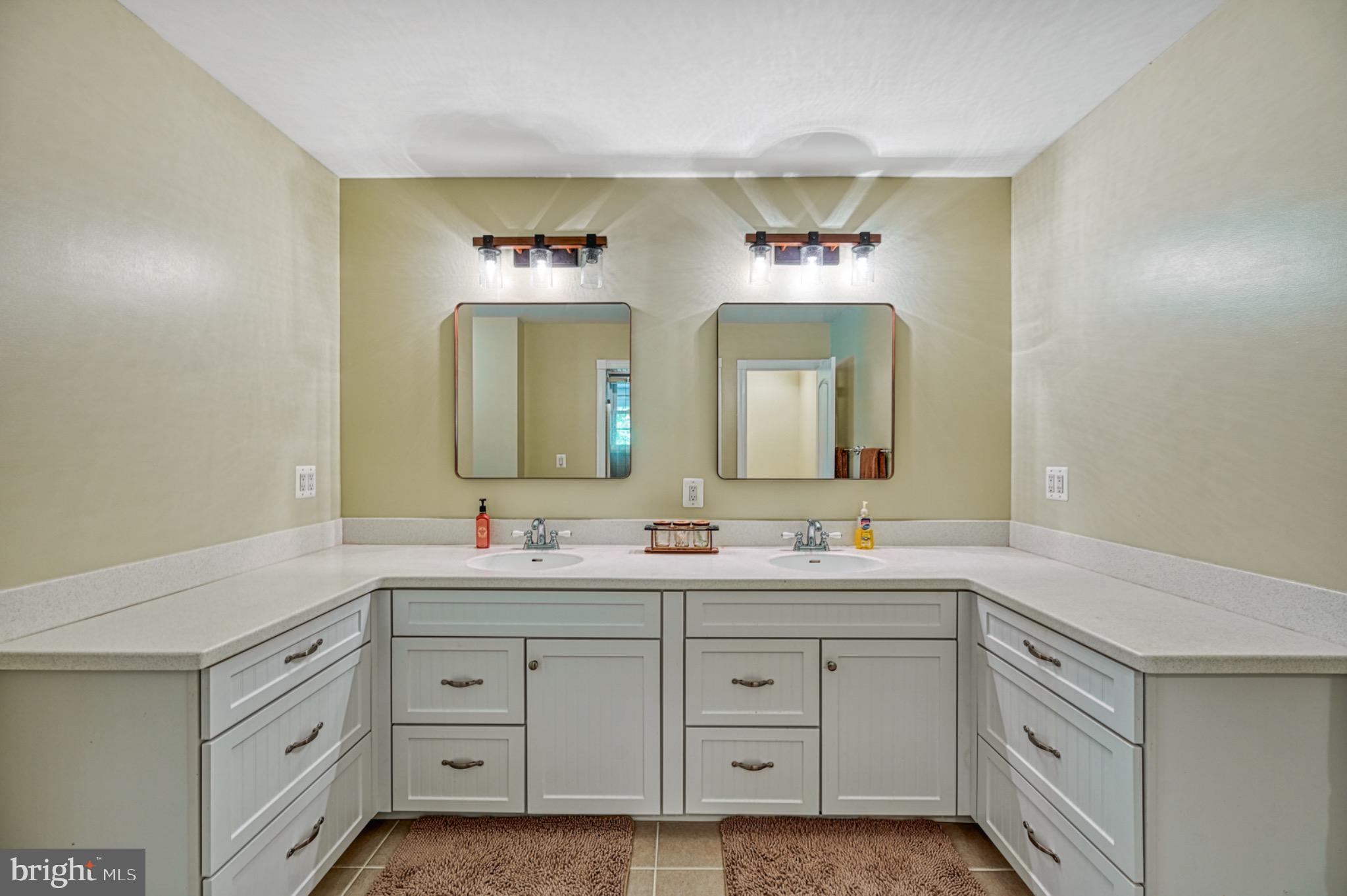 7320 Old Dickersons Road Orange, VA 22960 - Photo 40 of 119 Elegant dual vanity with modern mirrors.