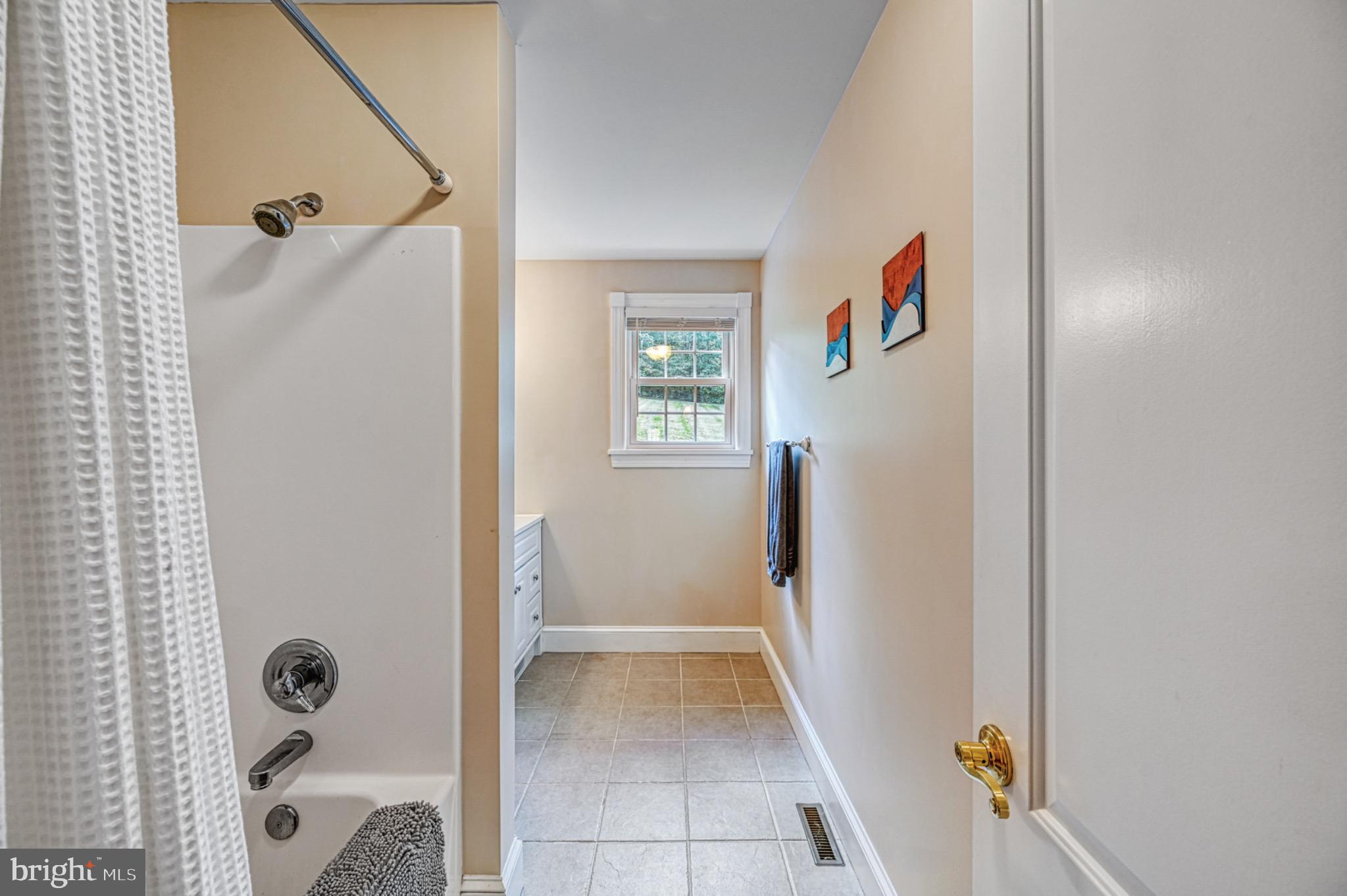 7320 Old Dickersons Road Orange, VA 22960 - Photo 44 of 119 Bright and inviting bathroom with modern touches.