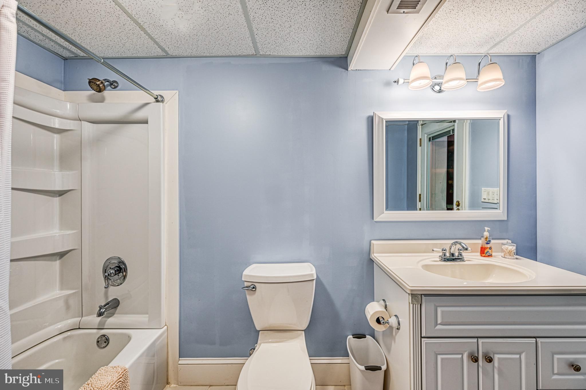 7320 Old Dickersons Road Orange, VA 22960 - Photo 75 of 119 Serene blue-hued bathroom retreat.