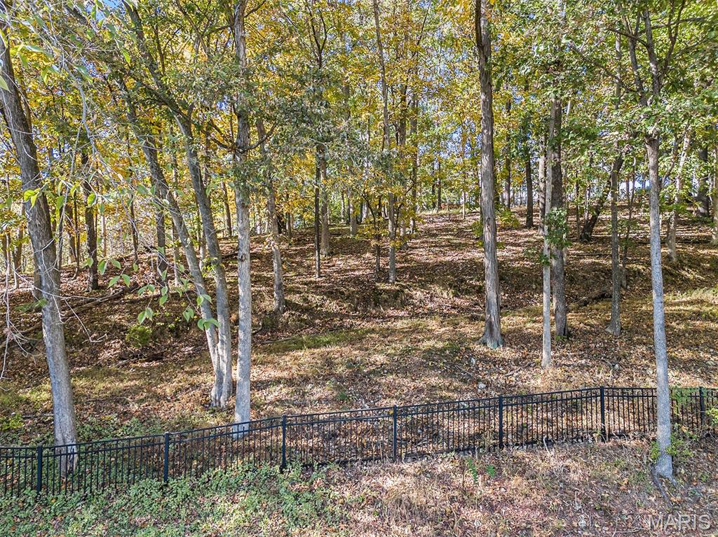 373 Gateford Drive Ballwin, MO 63021 - Photo 38 of 41