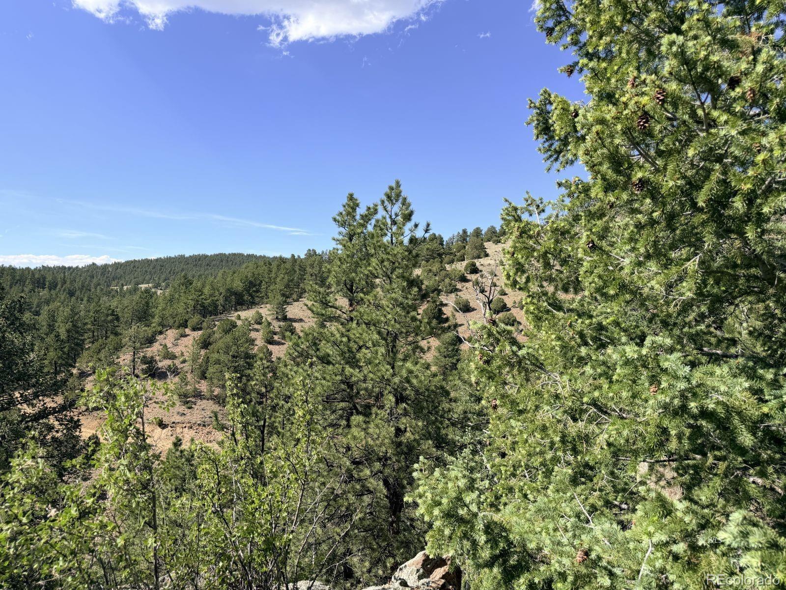 0 Schulze Ranch Road Westcliffe, CO 81252 - Photo 4 of 33