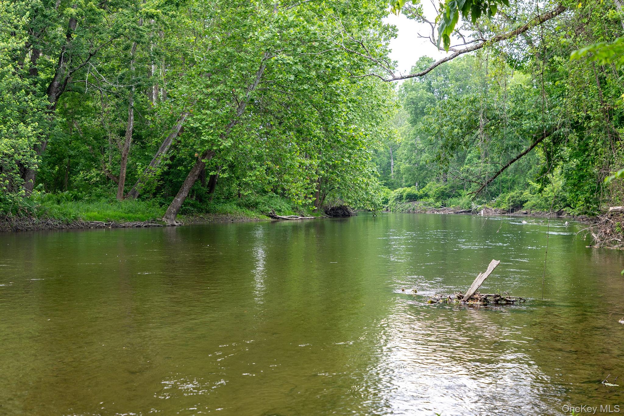 202 Buckwheat Road Hudson, NY 12534 - Photo 46 of 49